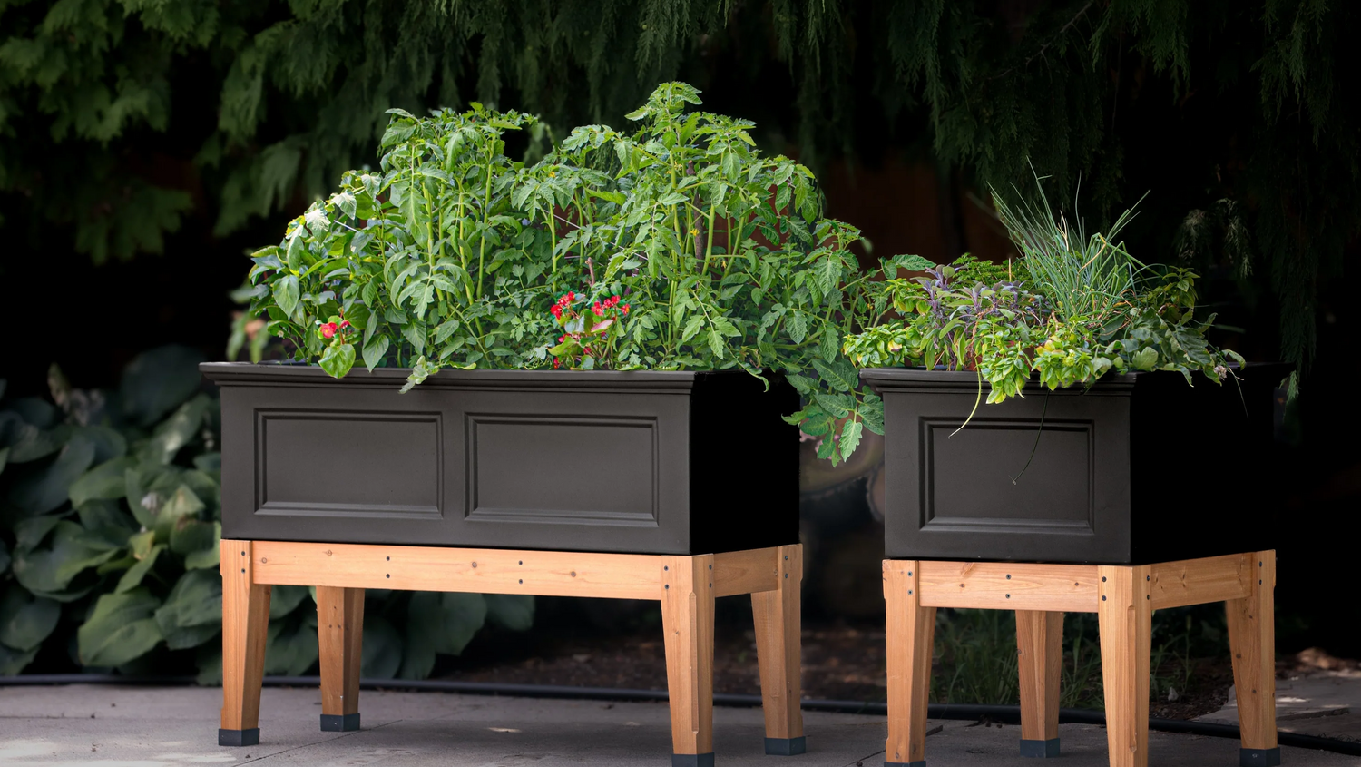 Beginner’s Guide to Gardening with Garden Beds: Simple Tips to Get Started