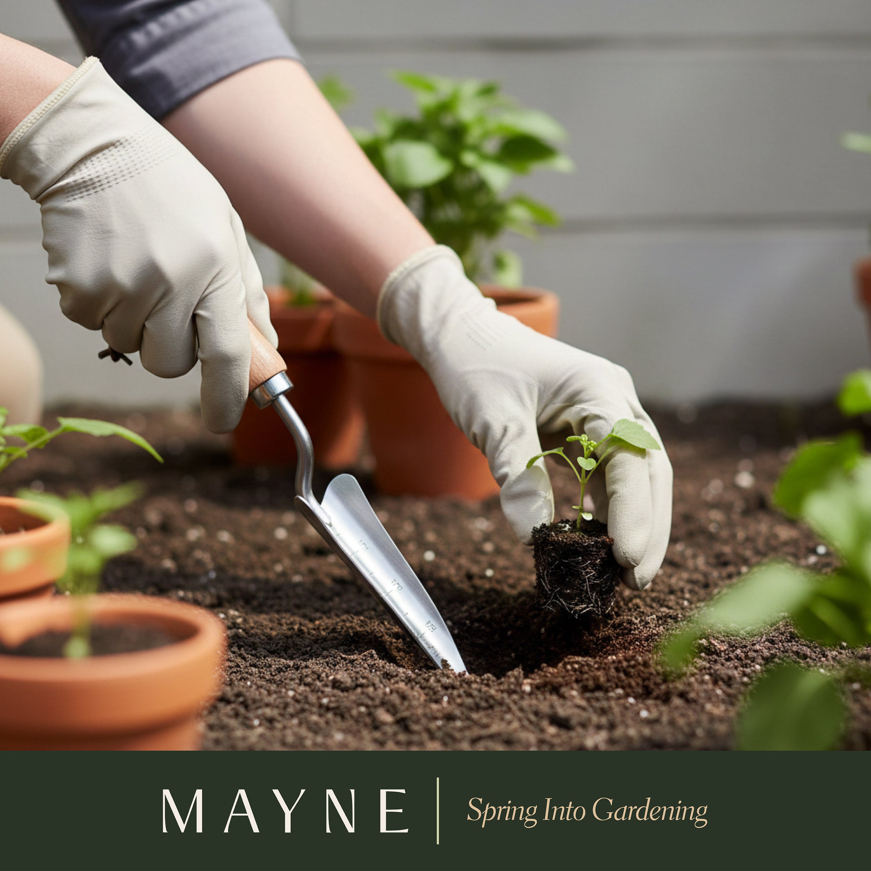 How to Use a Trowel in Containers and Raised Beds