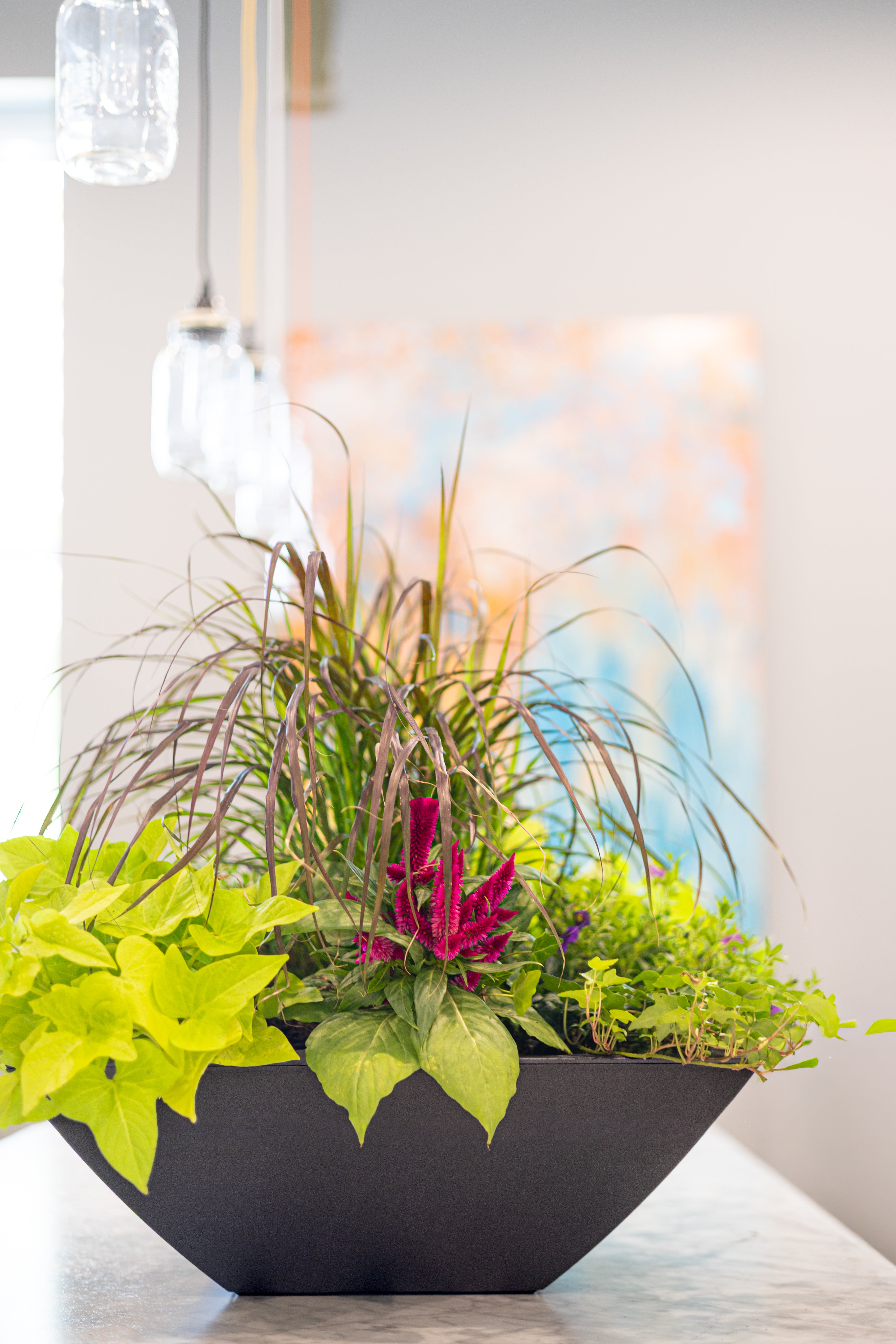 Evolve Tapered Bowl Planter