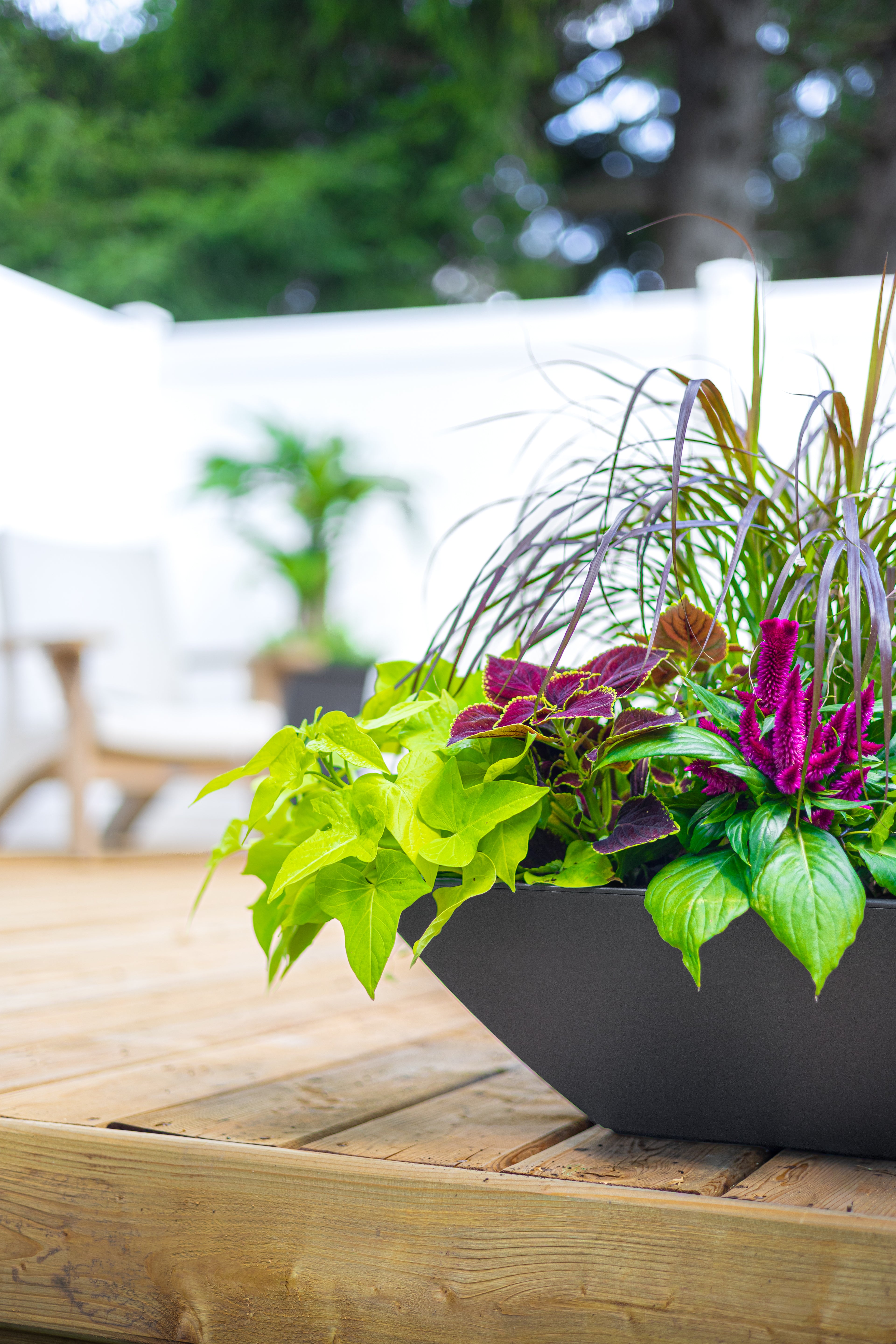 Mayne Evolve 20-Inch Square Tapered Bowl Planter (2-Pack)