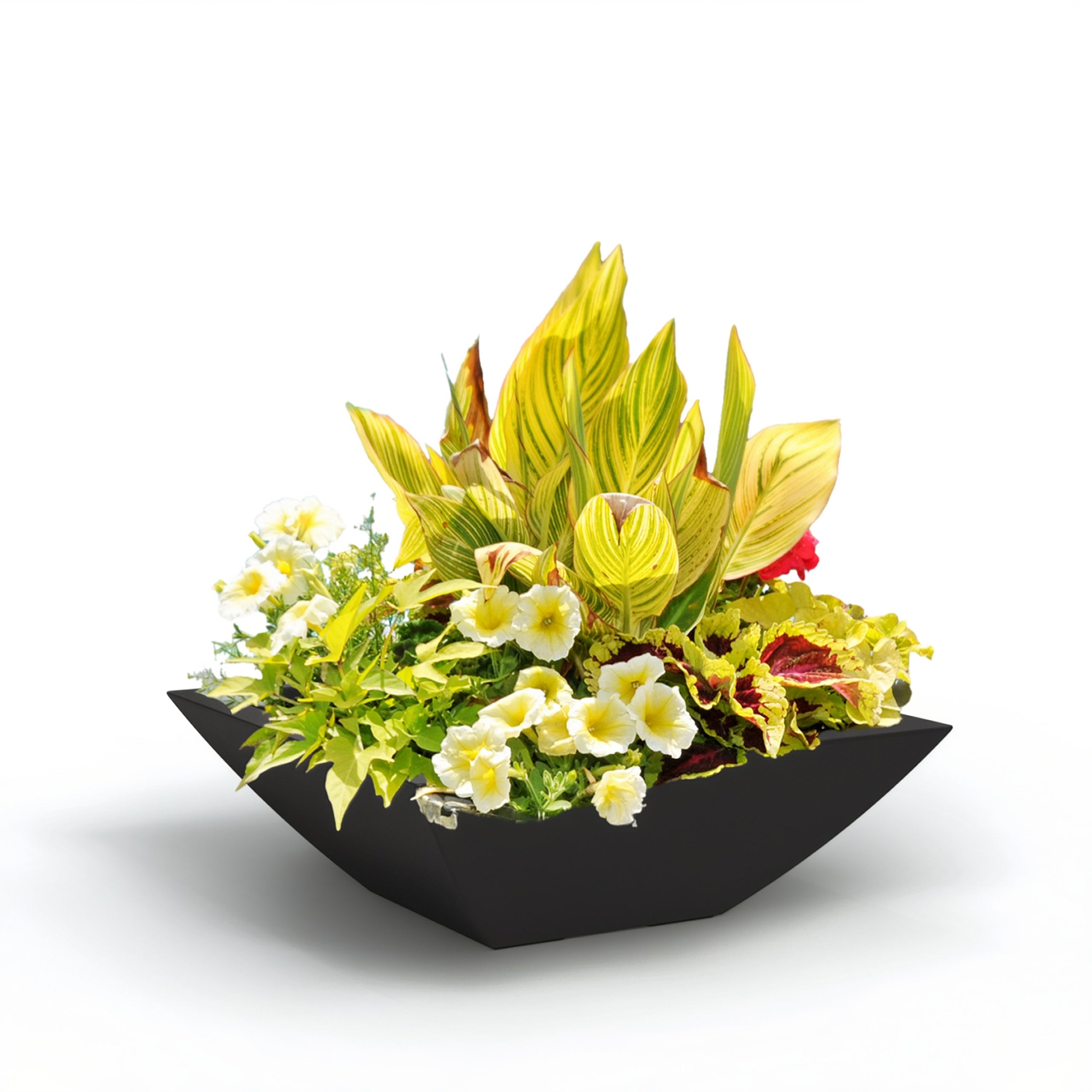 Mayne Evolve 20-Inch Square Tapered Bowl Planter