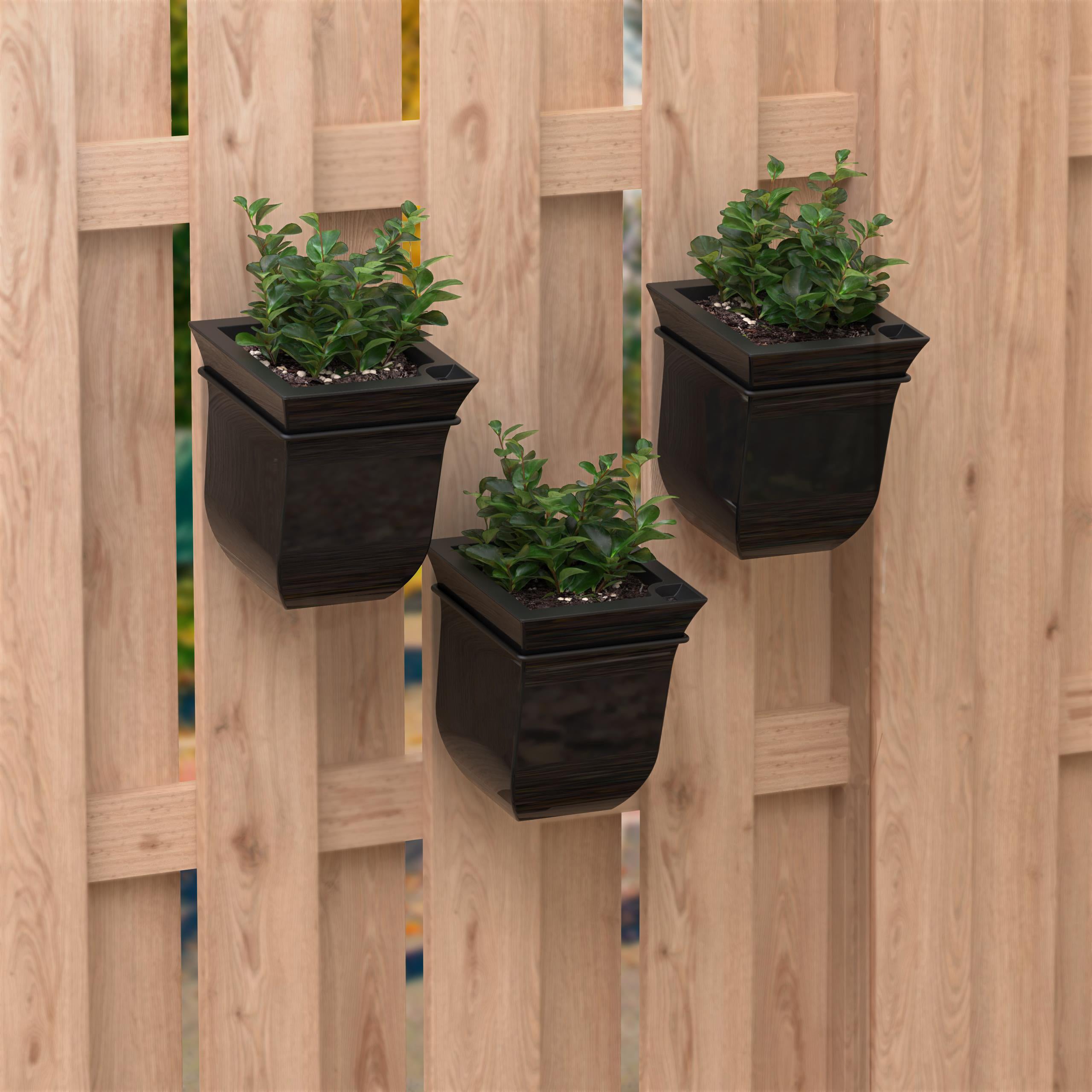 Mayne Valencia 8-Inch Self-Watering Wall Mount Planter (3-Pack)