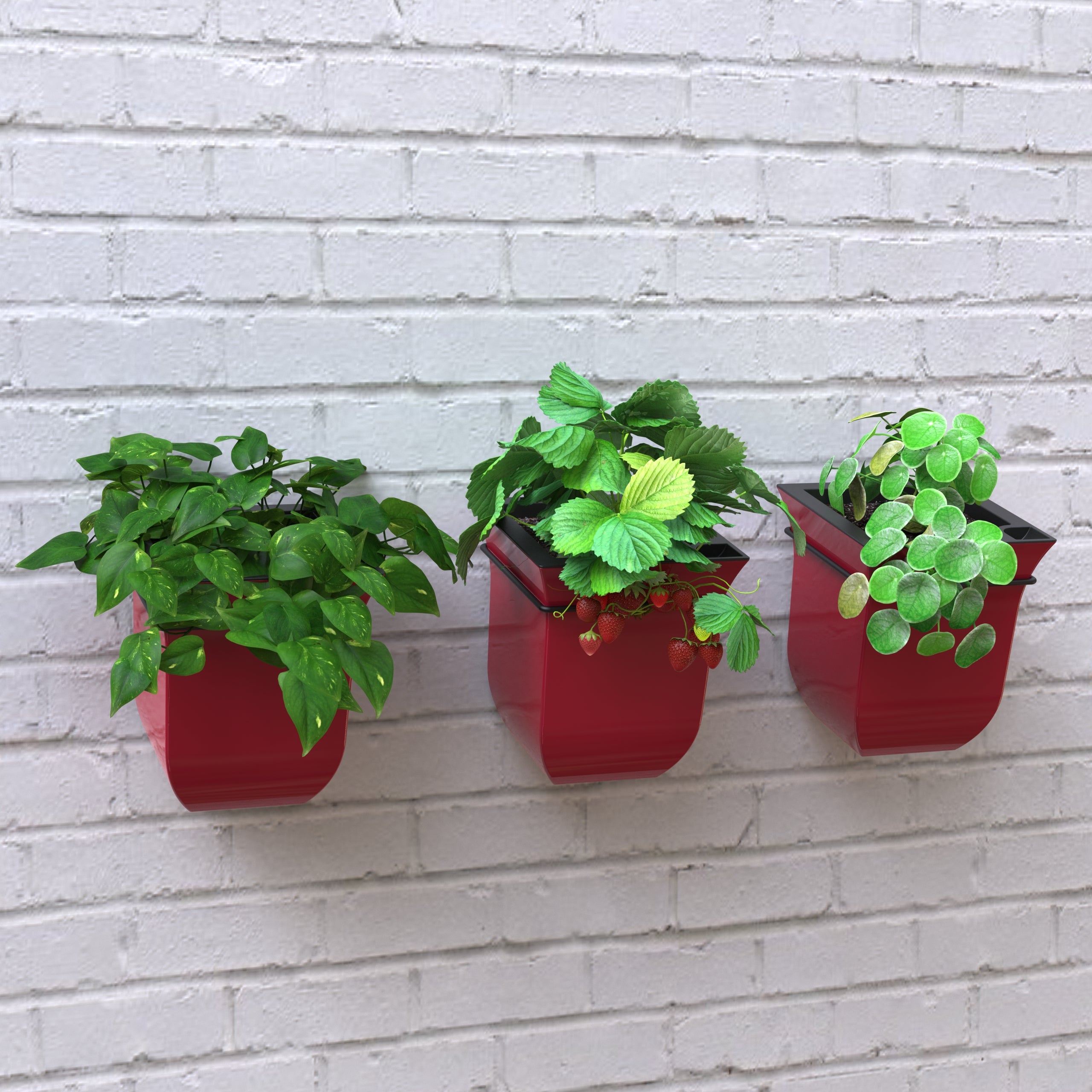 Mayne Valencia 8in Wall Mount Planter (3-Pack)