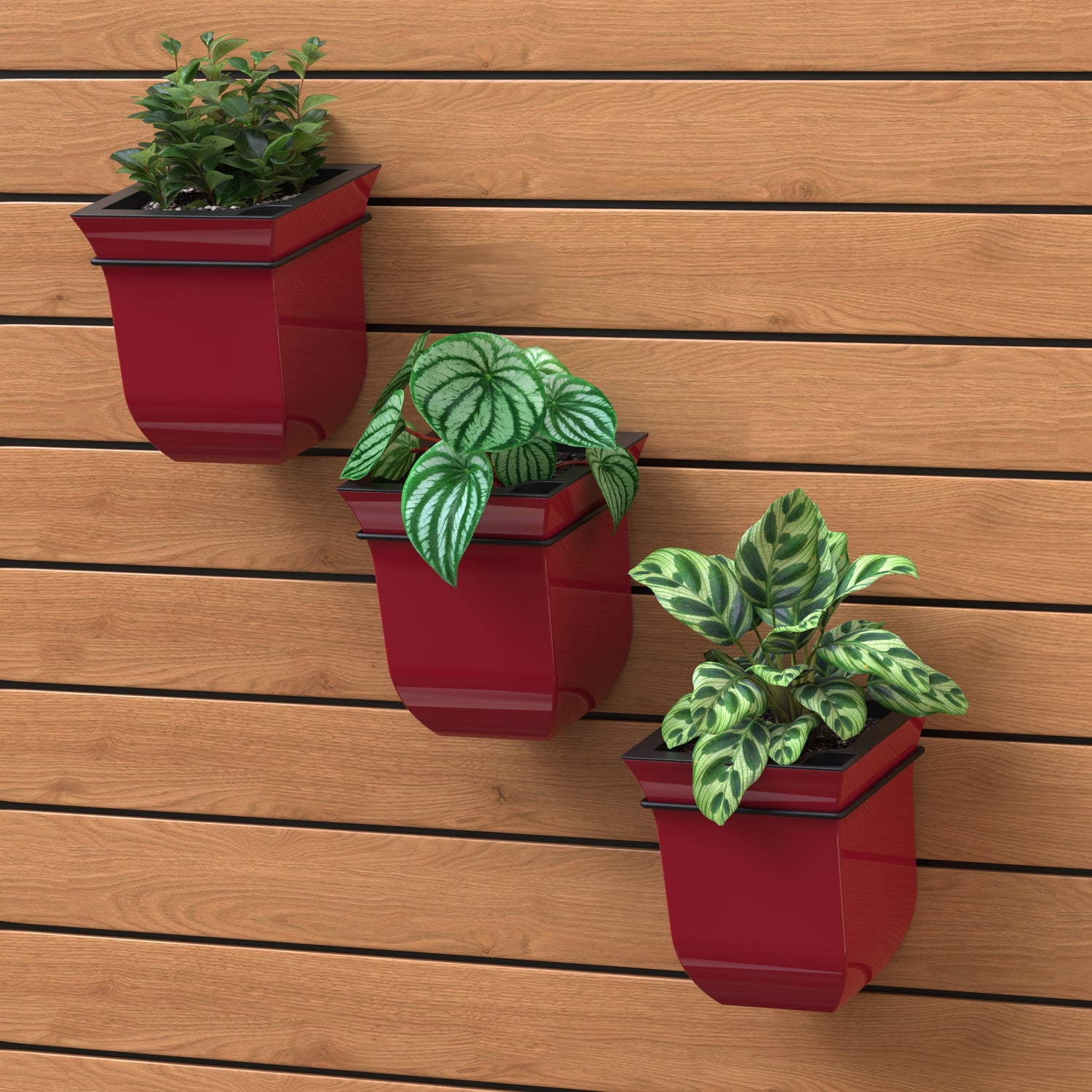 Mayne Valencia 8-Inch Self-Watering Wall Mount Planter (3-Pack)