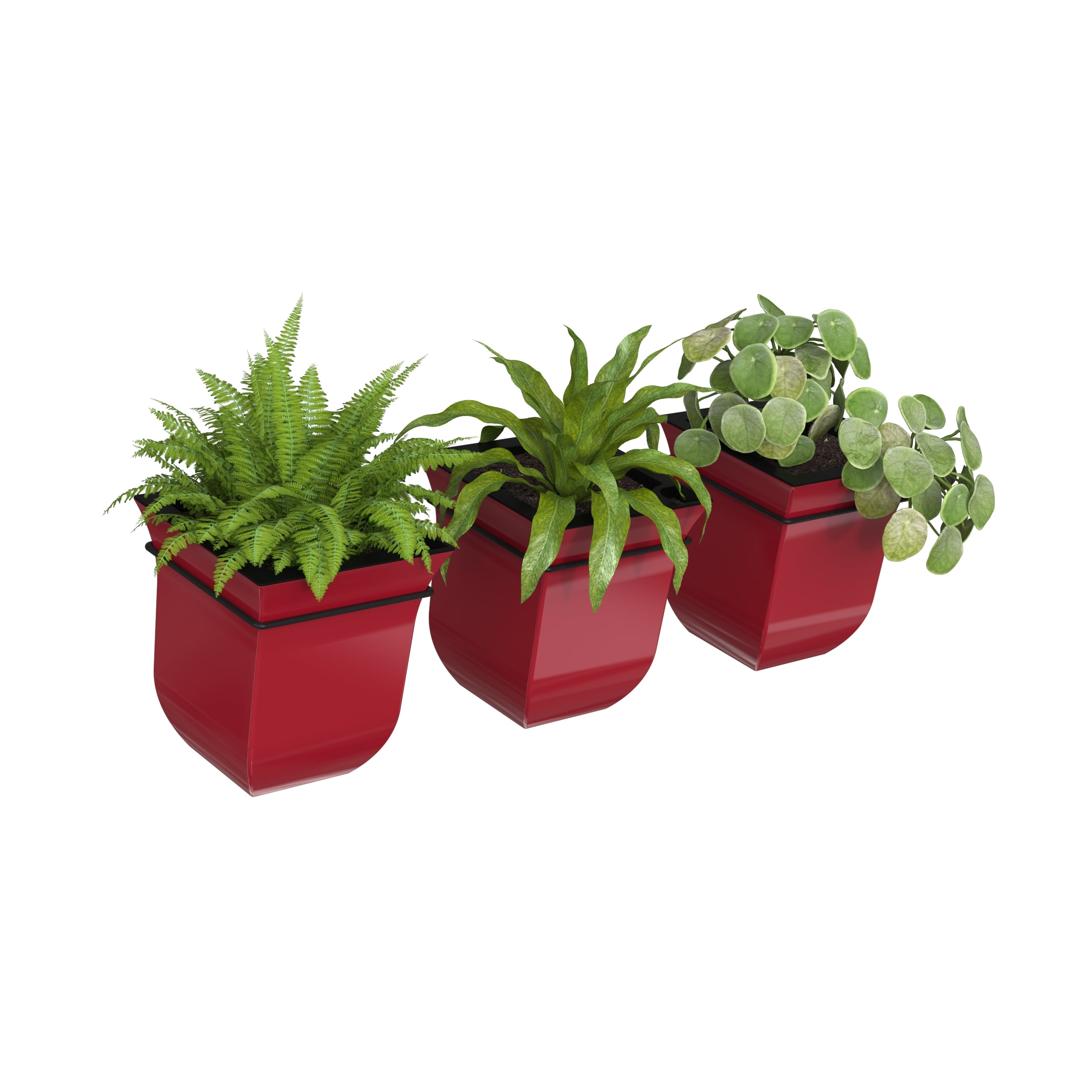 Mayne Valencia 8-Inch Self-Watering Wall Mount Planter (3-Pack)