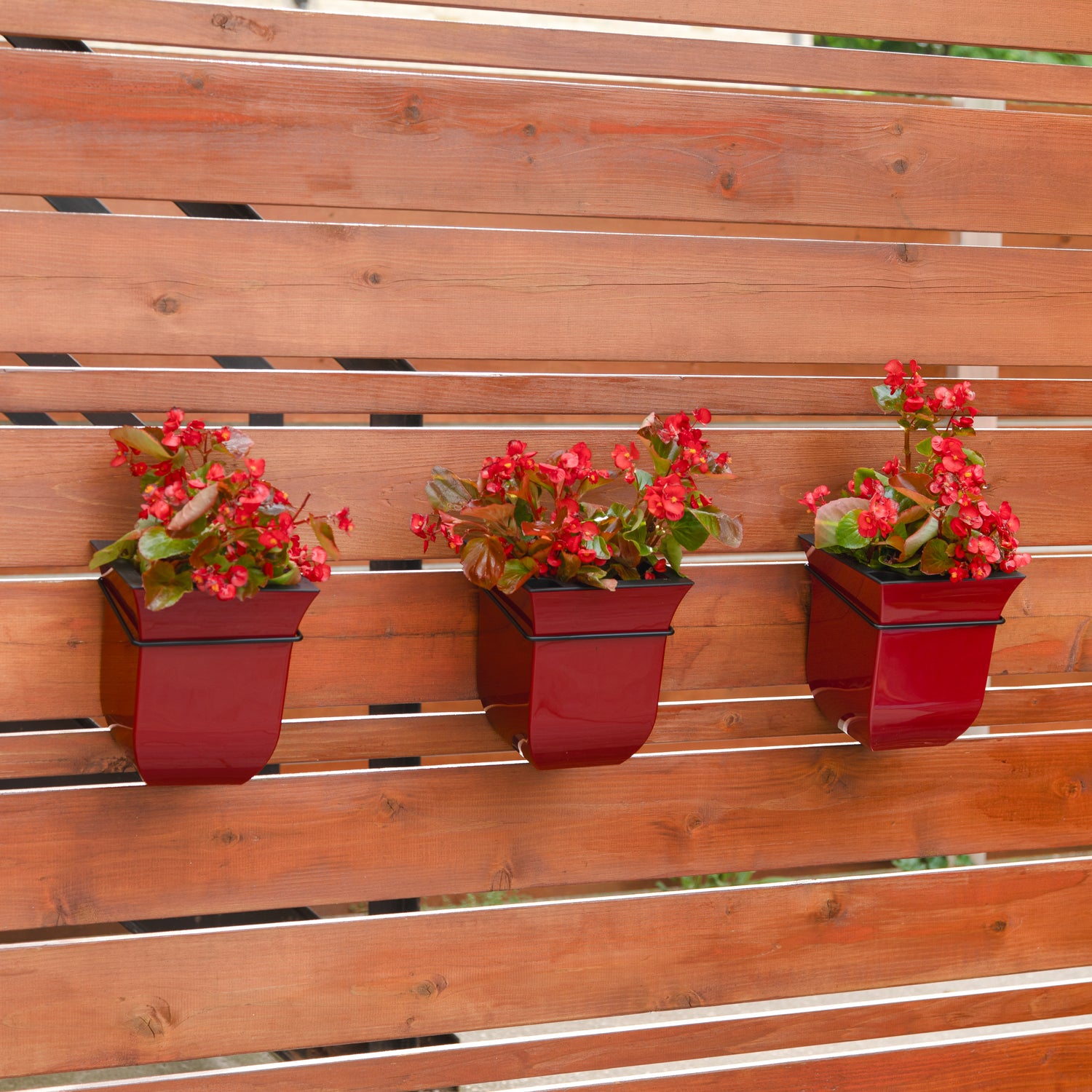 Mayne Valencia 8-Inch Self-Watering Wall Mount Planter (3-Pack)