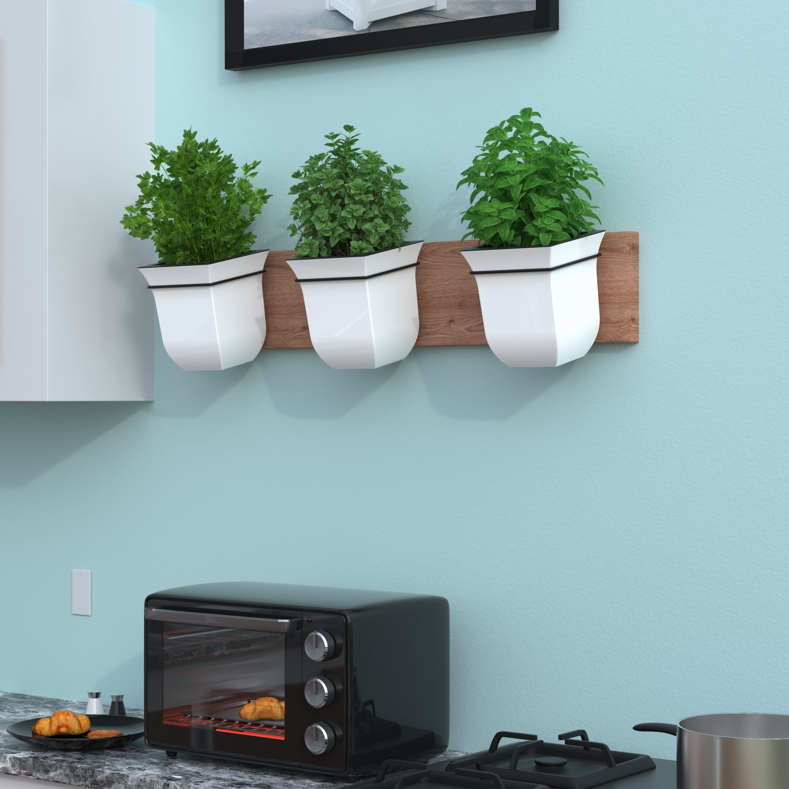 Mayne Valencia 8in Wall Mount Planter (3-Pack)