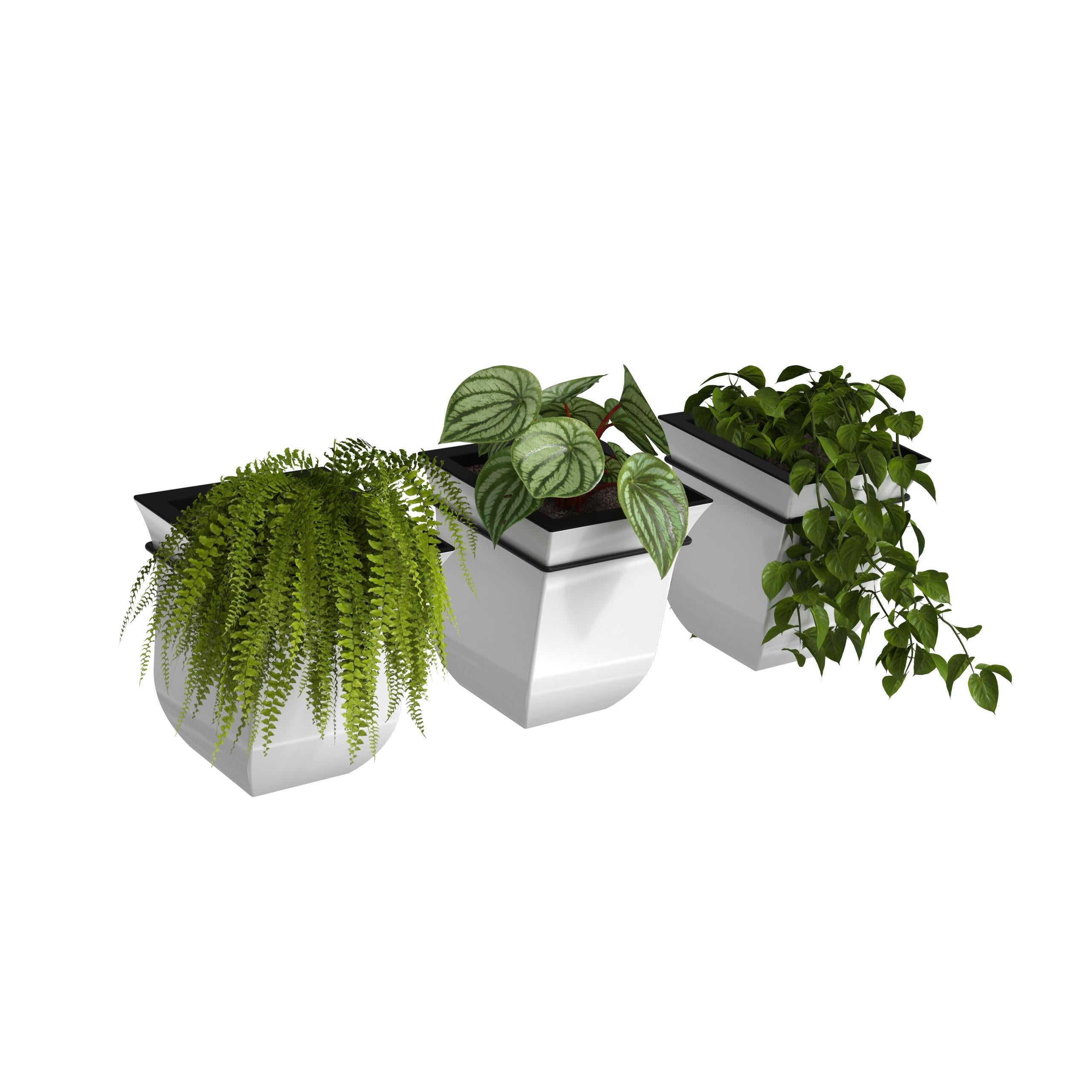 Mayne Valencia 8in Wall Mount Planter (3-Pack)