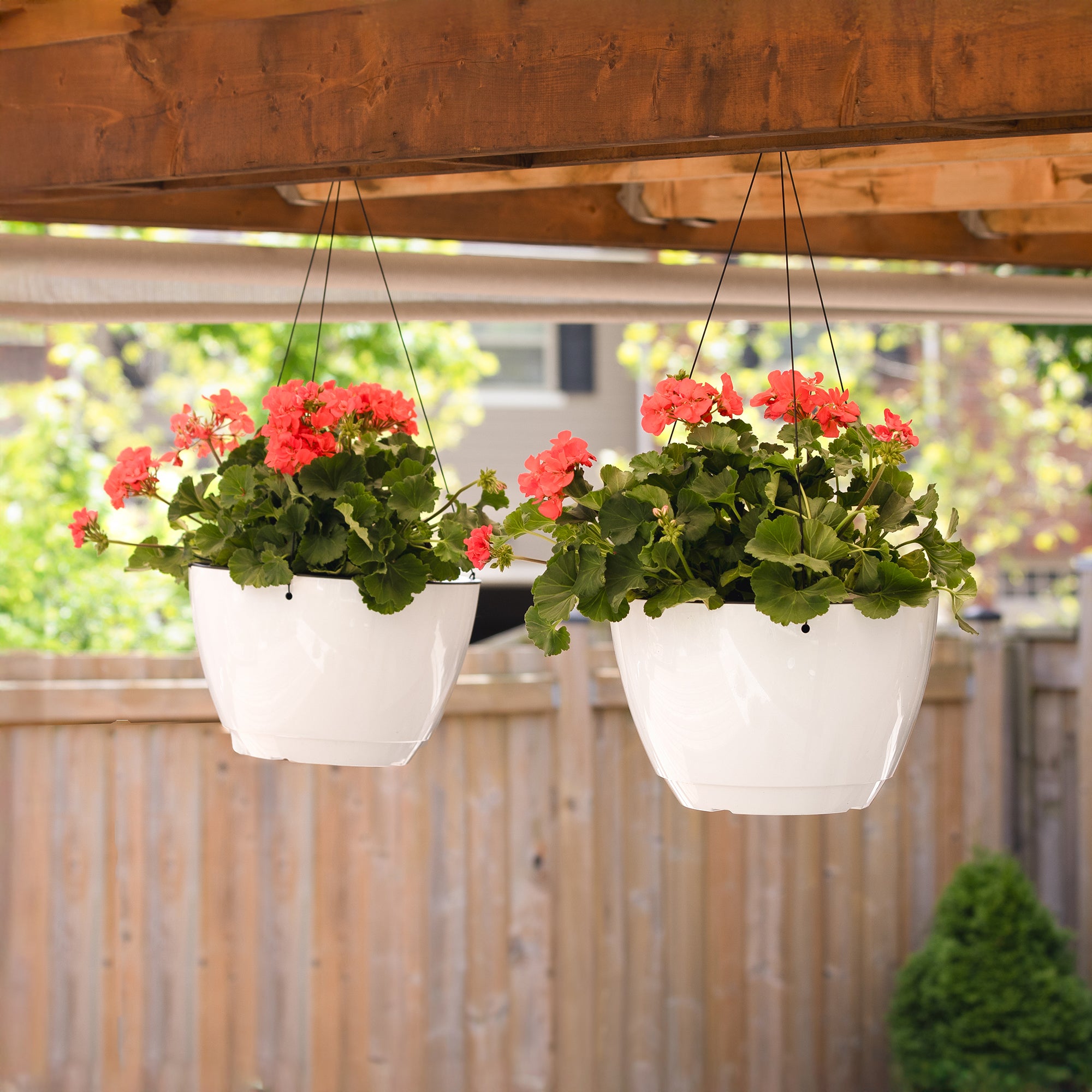 Mayne Caprio 14-Inch Self-Watering Hanging Planter with Water Level Indicator (2-Pack)