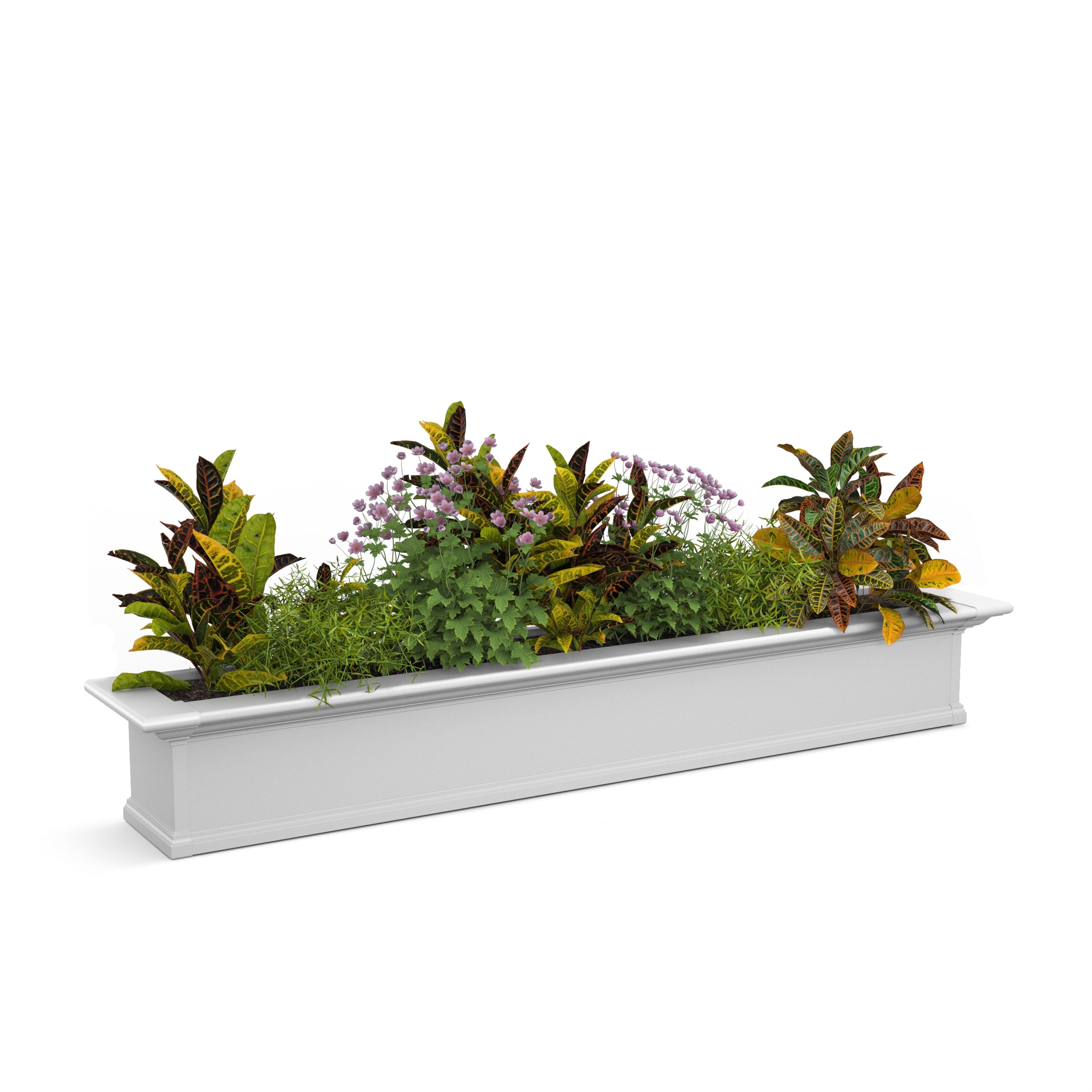 Mayne Yorkshire 6ft Window Box
