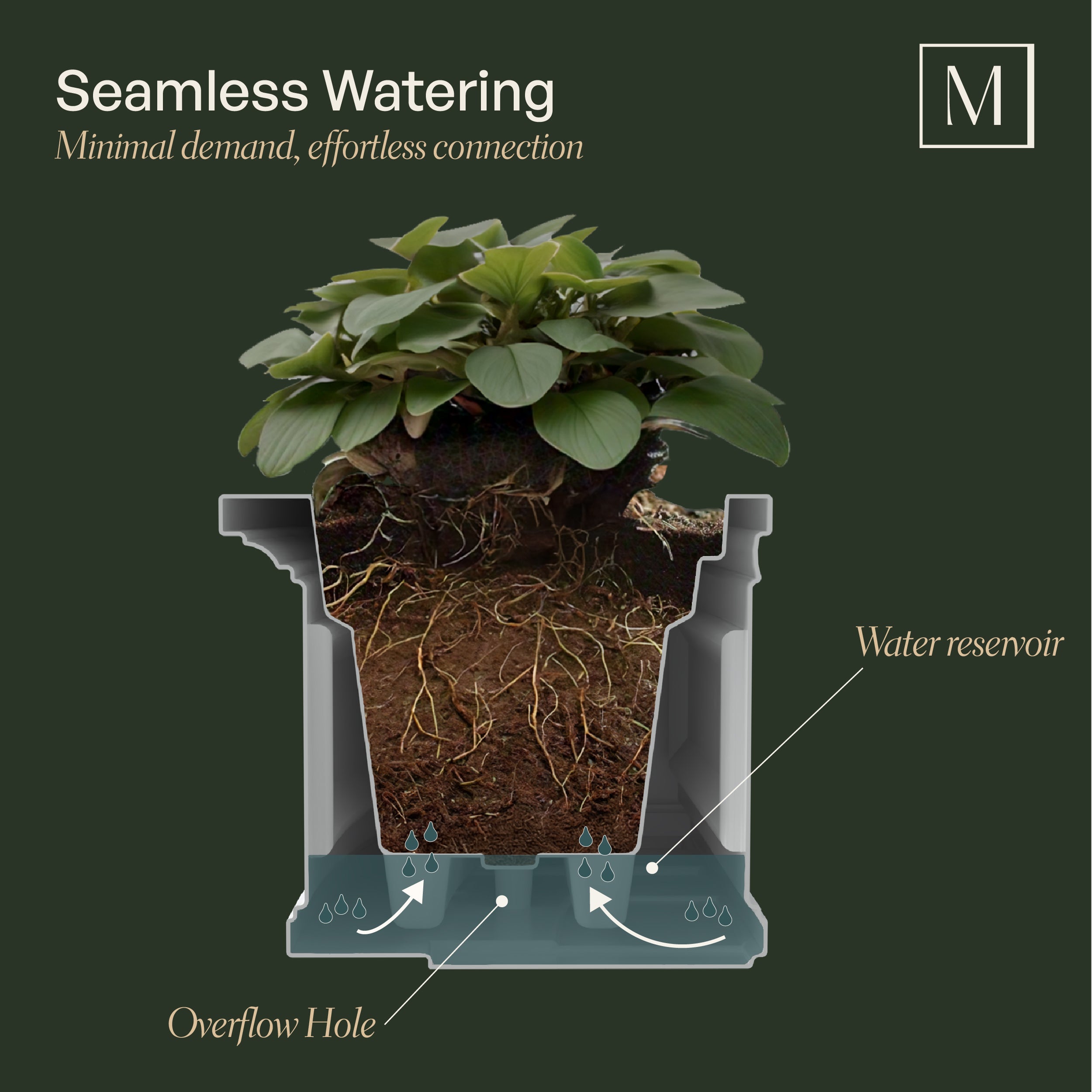 Mayne Nantucket 2ft Self-Watering Window Box with Steel Wall Mount Brackets (Espresso)