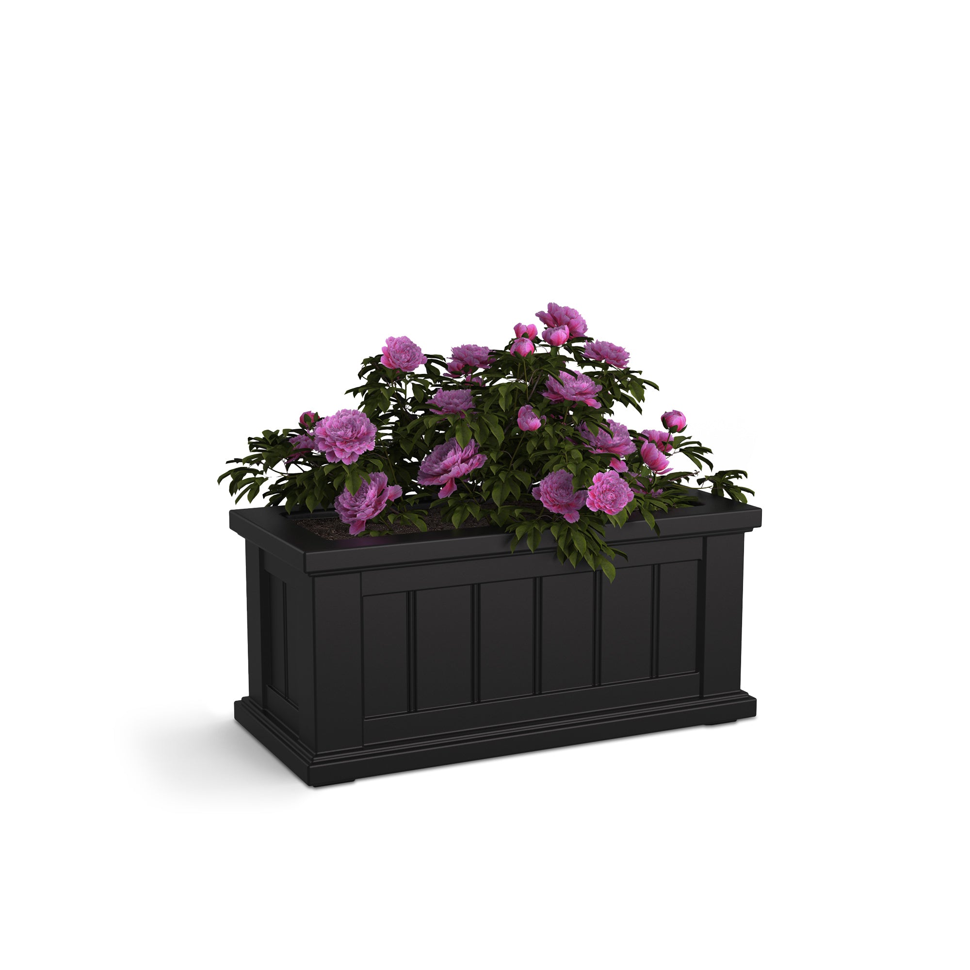Mayne Cape Cod 24in x 11in Rectangle Planter