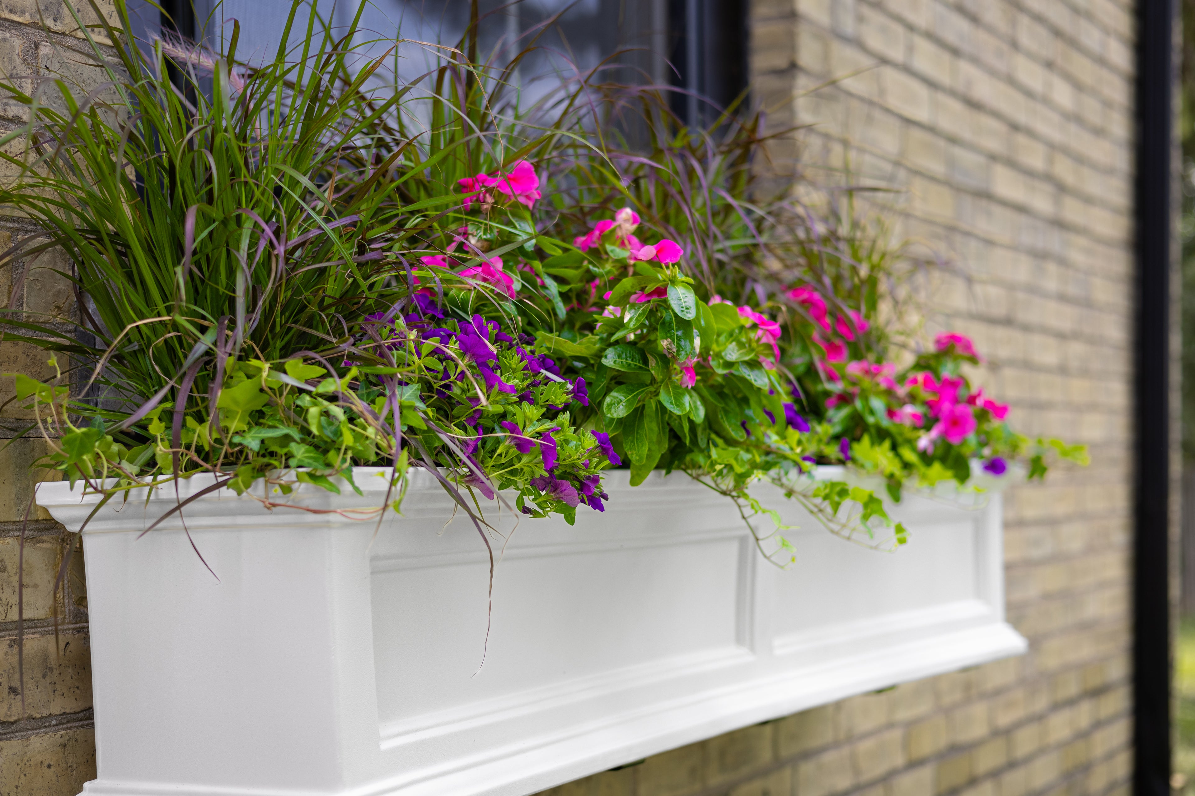 Mayne Fairfield 4ft Window Box