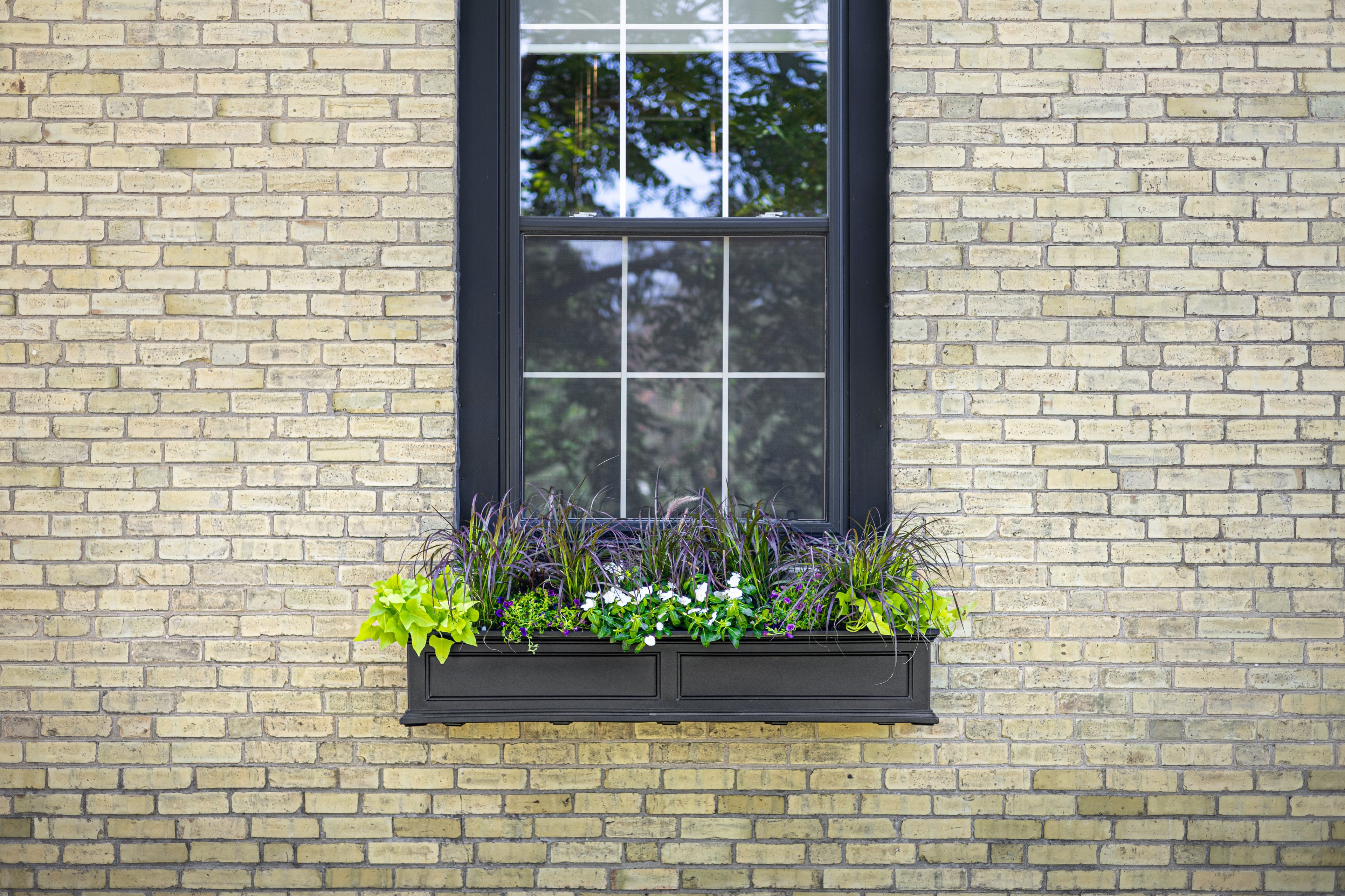 Mayne Fairfield 5ft Window Box