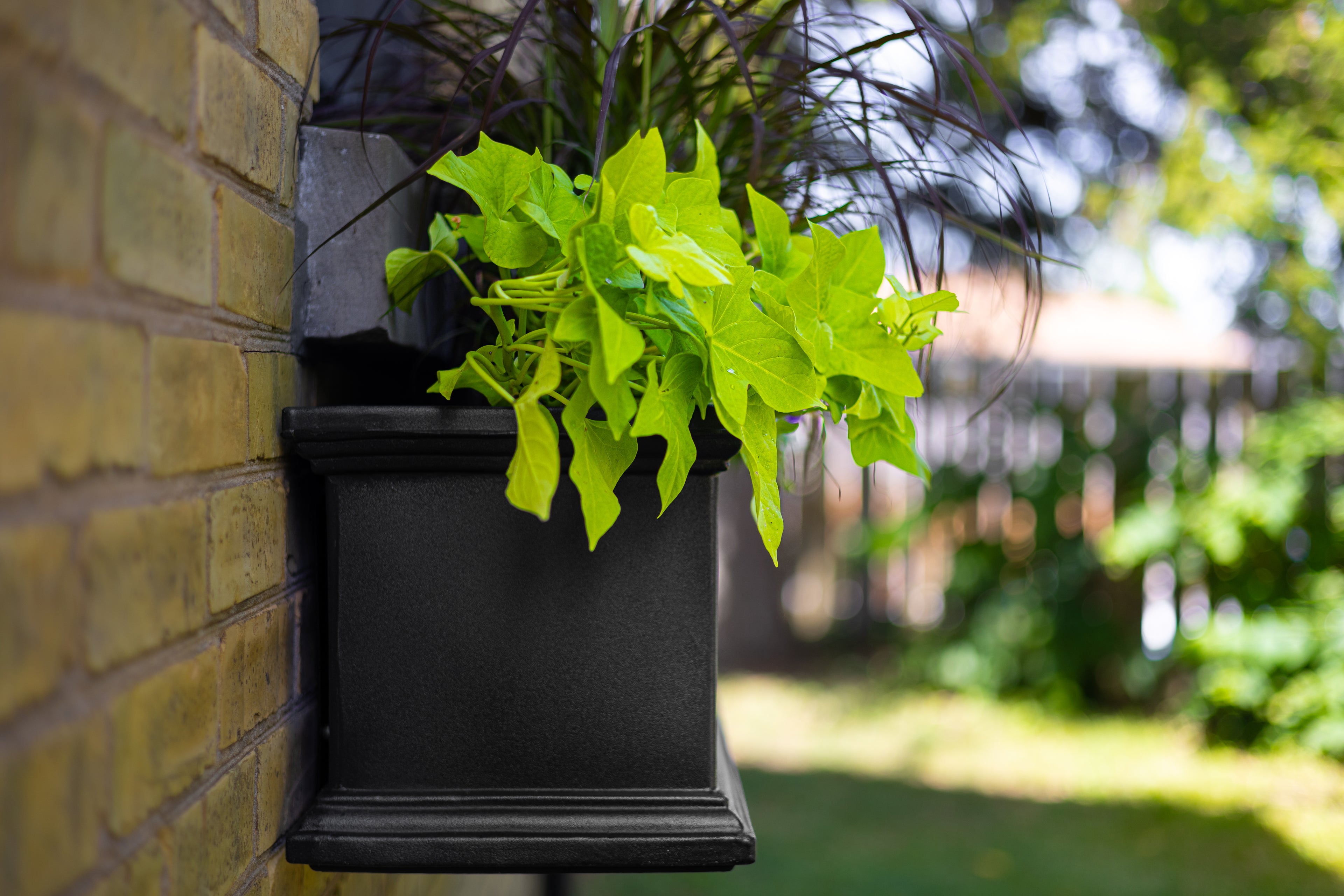 Mayne Fairfield 5ft Self-Watering Window Box with Steel Wall Mount Brackets (Graphite Grey & Espresso)