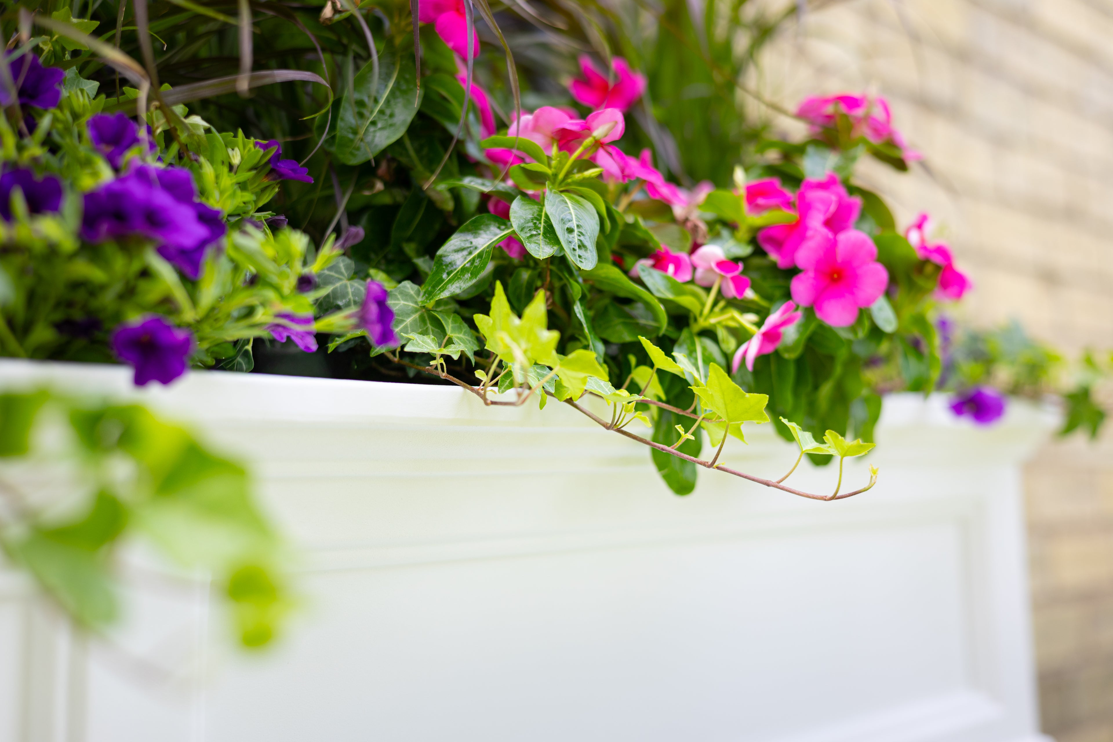 Mayne Fairfield 5ft Self-Watering Window Box with Steel Wall Mount Brackets