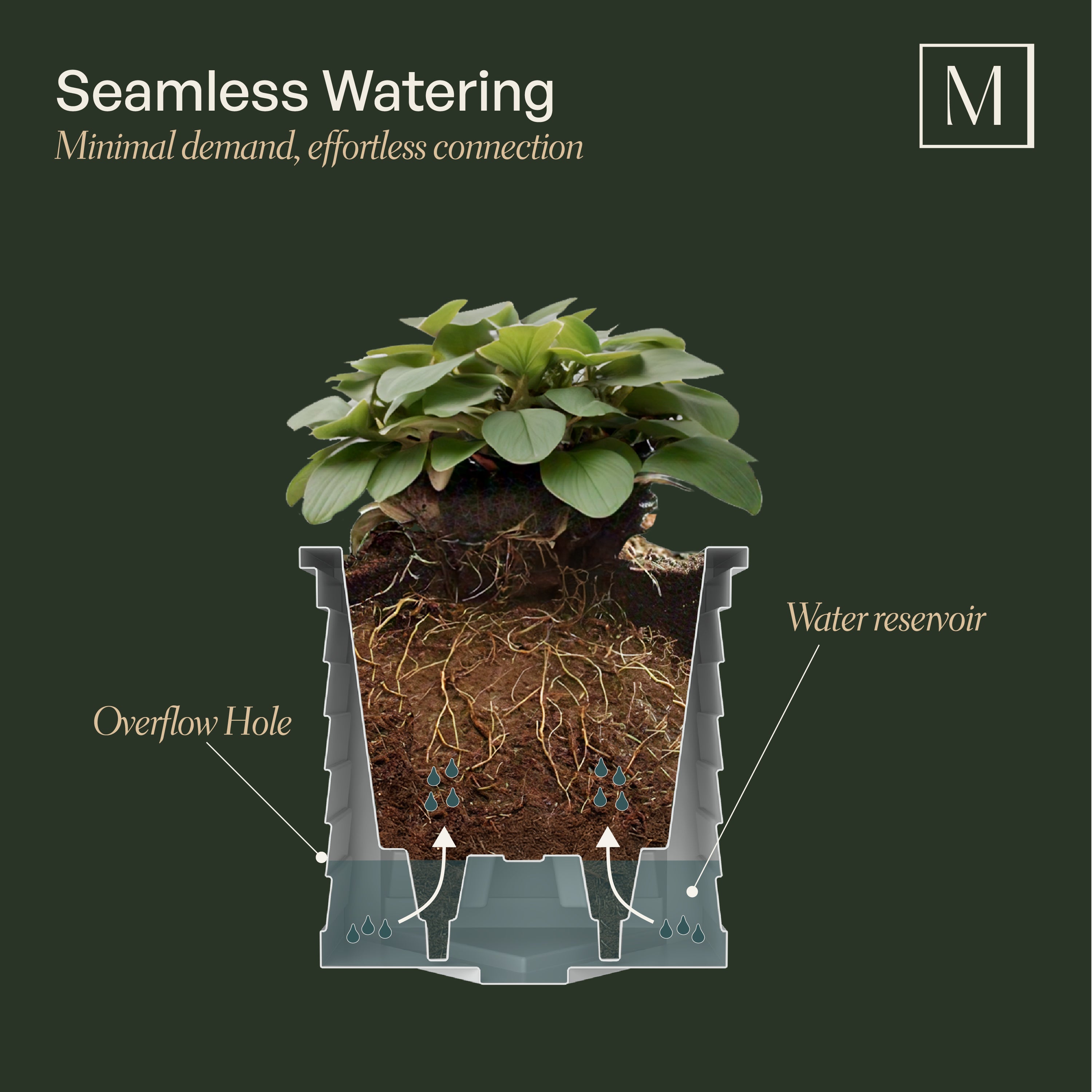 Mayne Lakeland 16-Inch Self-Watering Square Planter