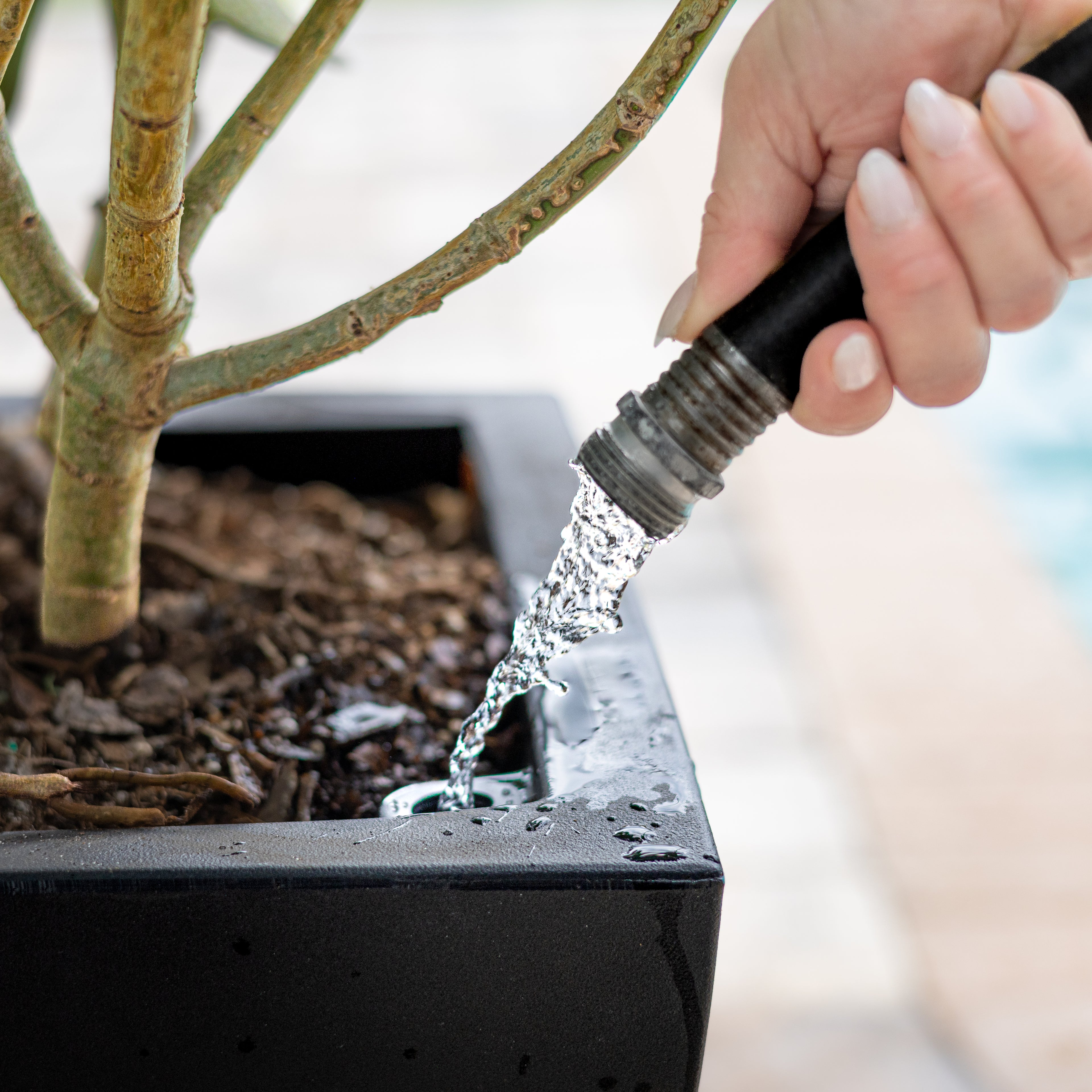 Mayne Acadia 20-Inch Self-Watering Tall Planter (Black)