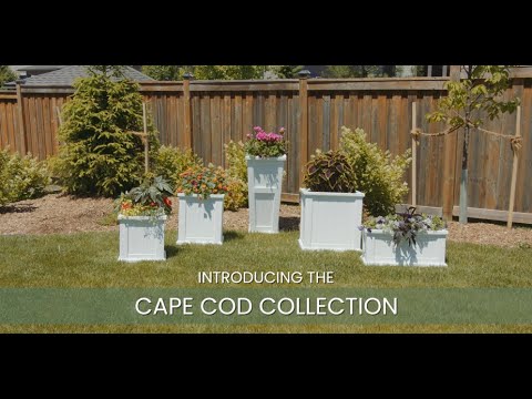 Mayne Cape Cod 14in Square Planter