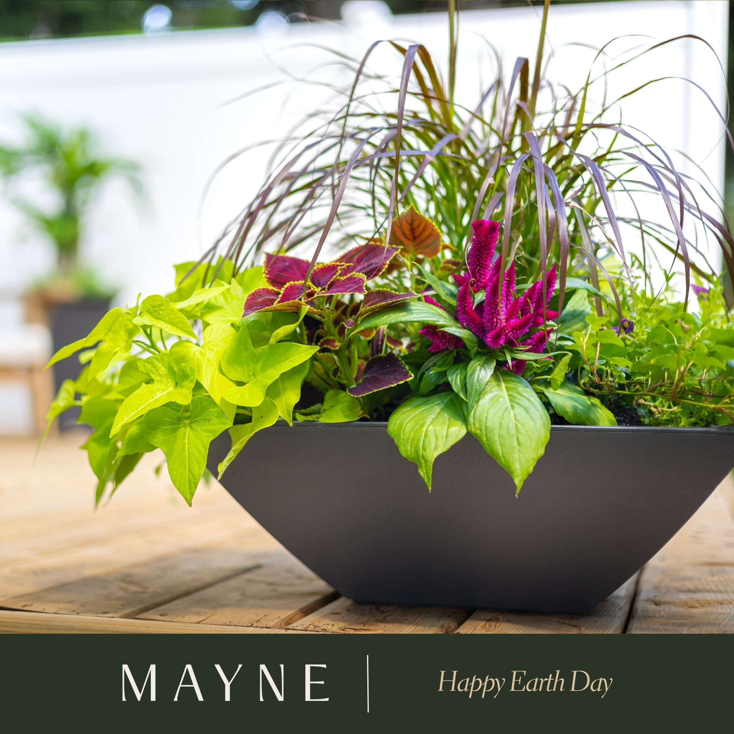 Happy Earth Day!