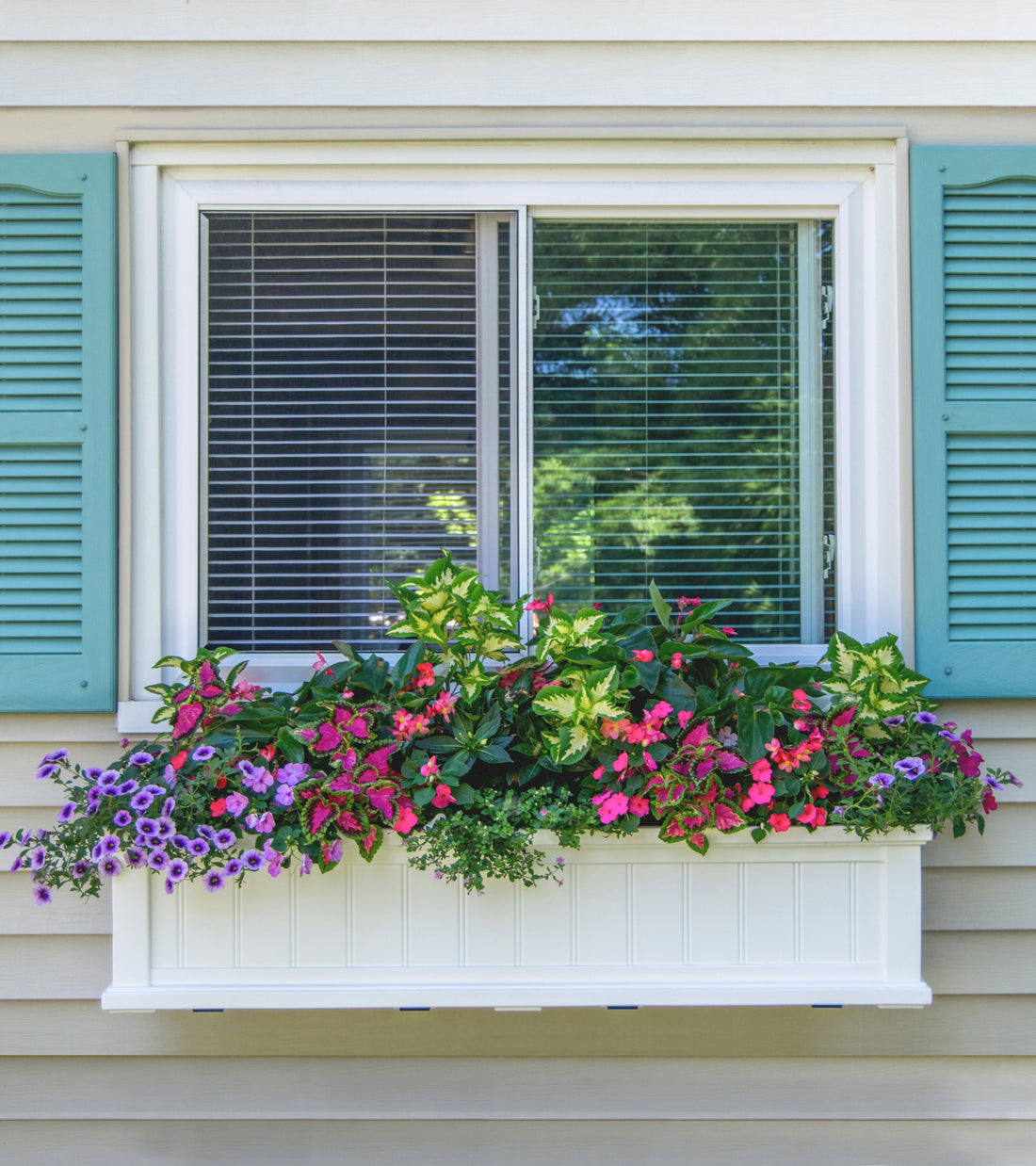 Window Cod's A QUICK GUIDE TO SELF-WATERING PLANTERS – Mayne Inc.