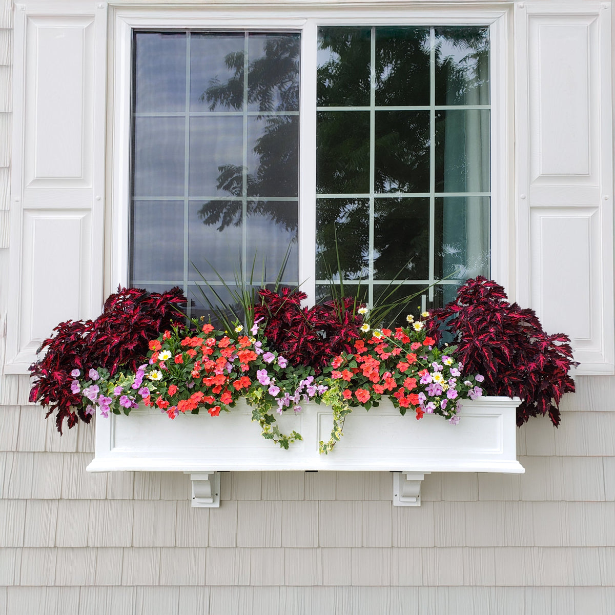Marx Window Box Window Boxes – Mayne Inc.