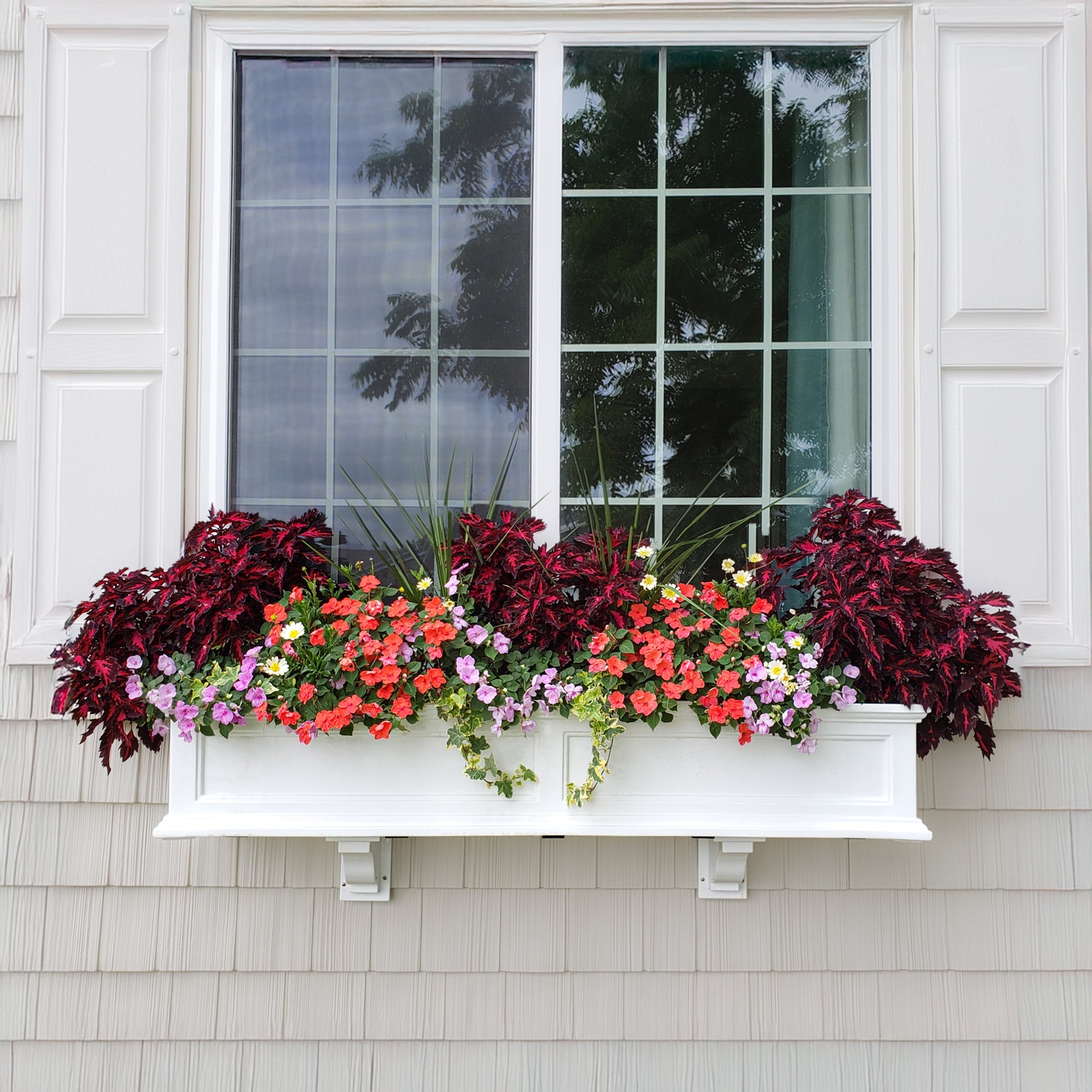 Window Boxes