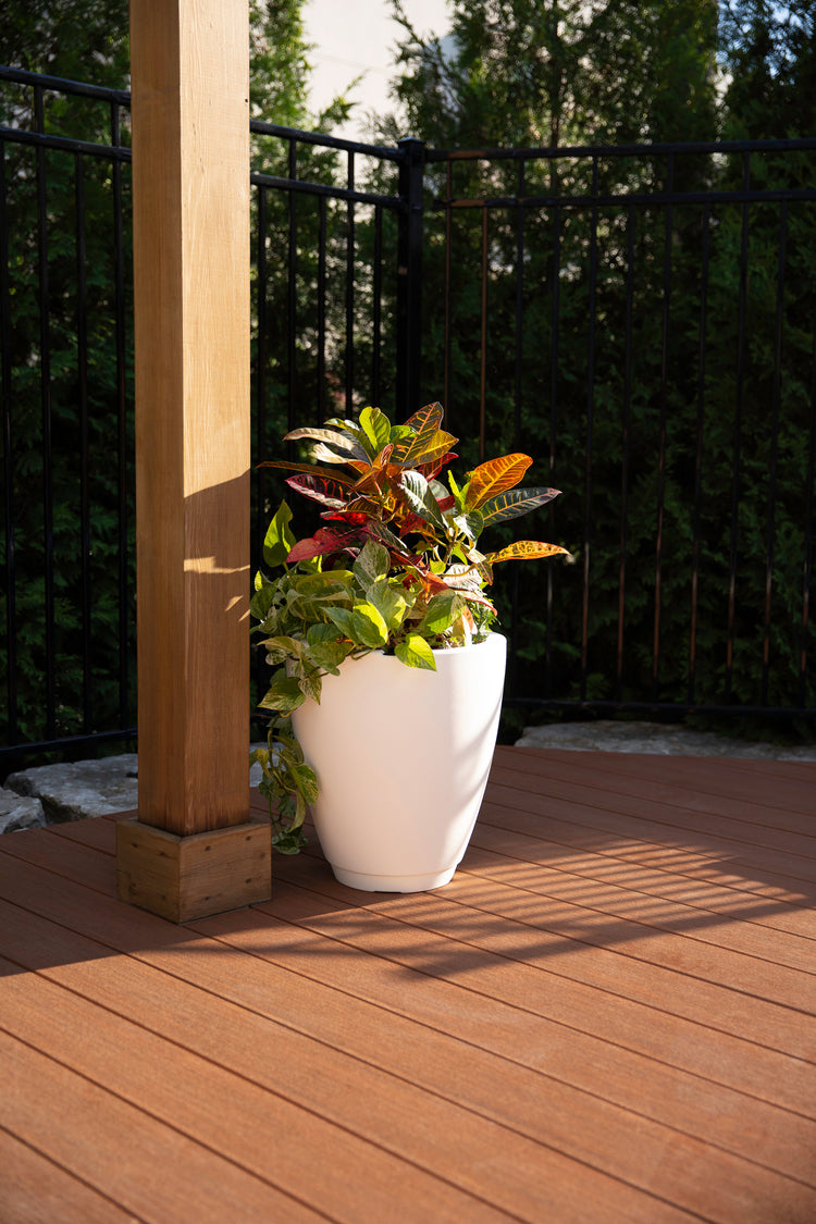 A QUICK GUIDE TO SELFWATERING PLANTERS Mayne Inc.