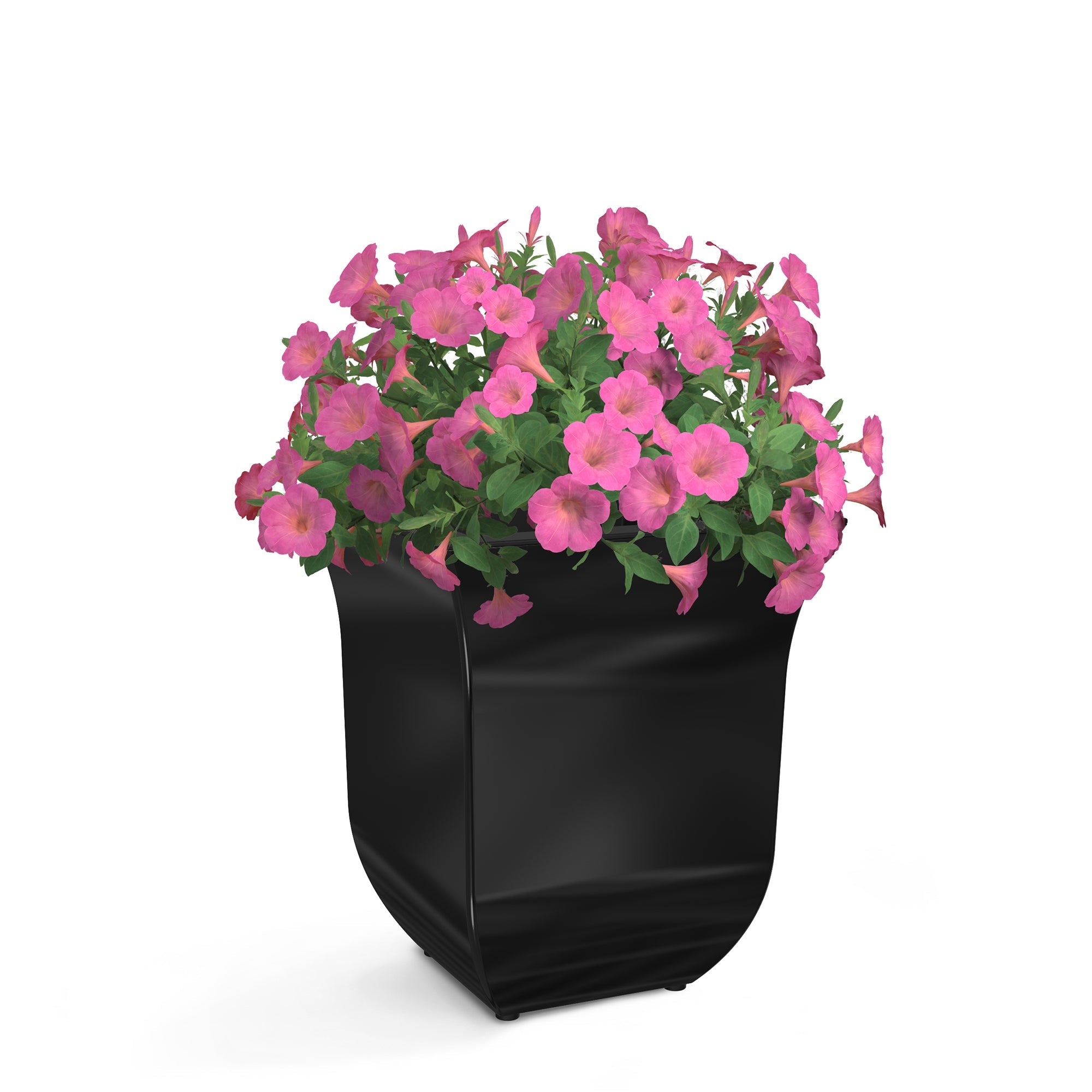 Mayne Valencia 8in Tabletop Planter