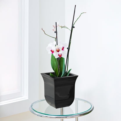 Mayne Valencia 8in Tabletop Planter