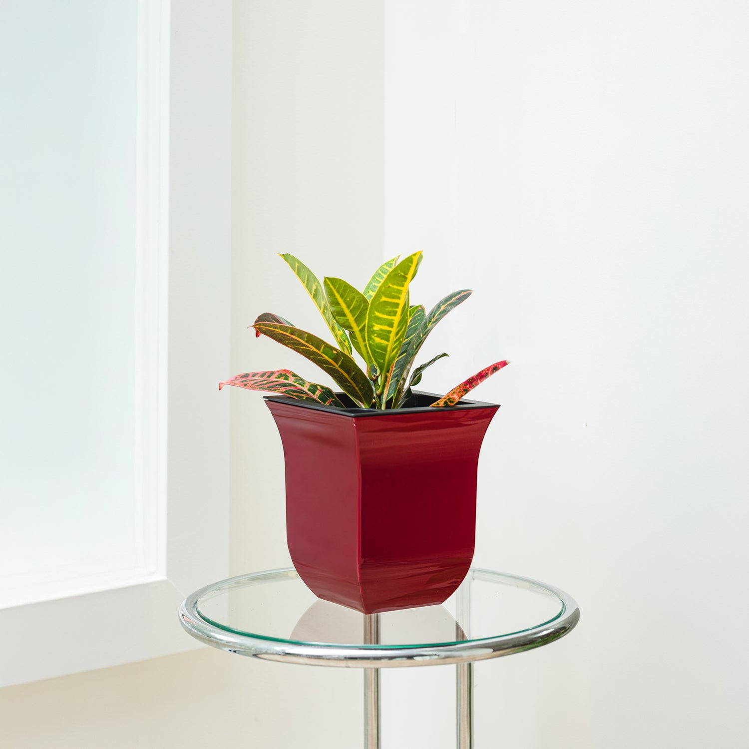 Mayne Valencia 8in Tabletop Planter