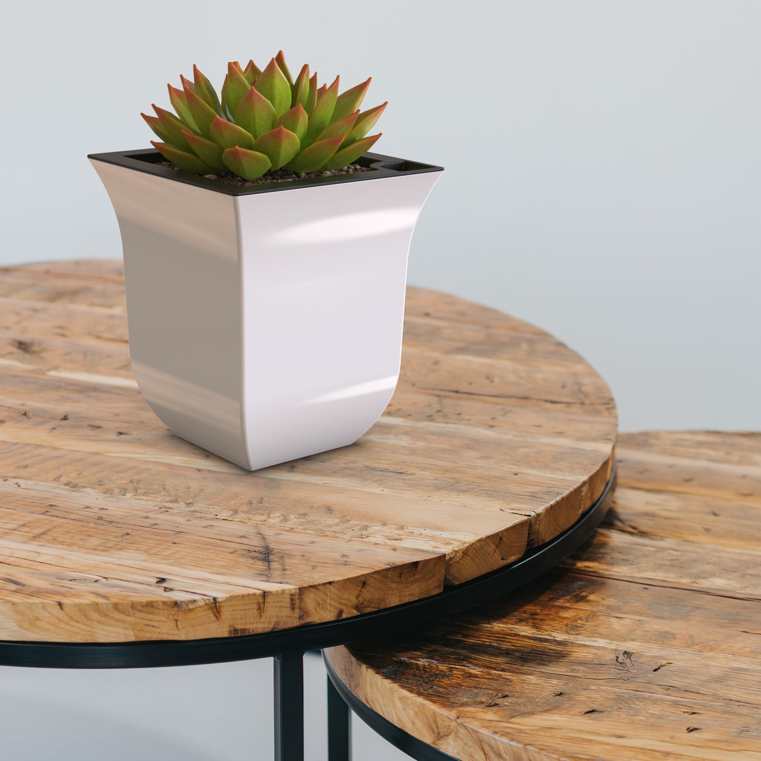 Mayne Valencia 8in Tabletop Planter