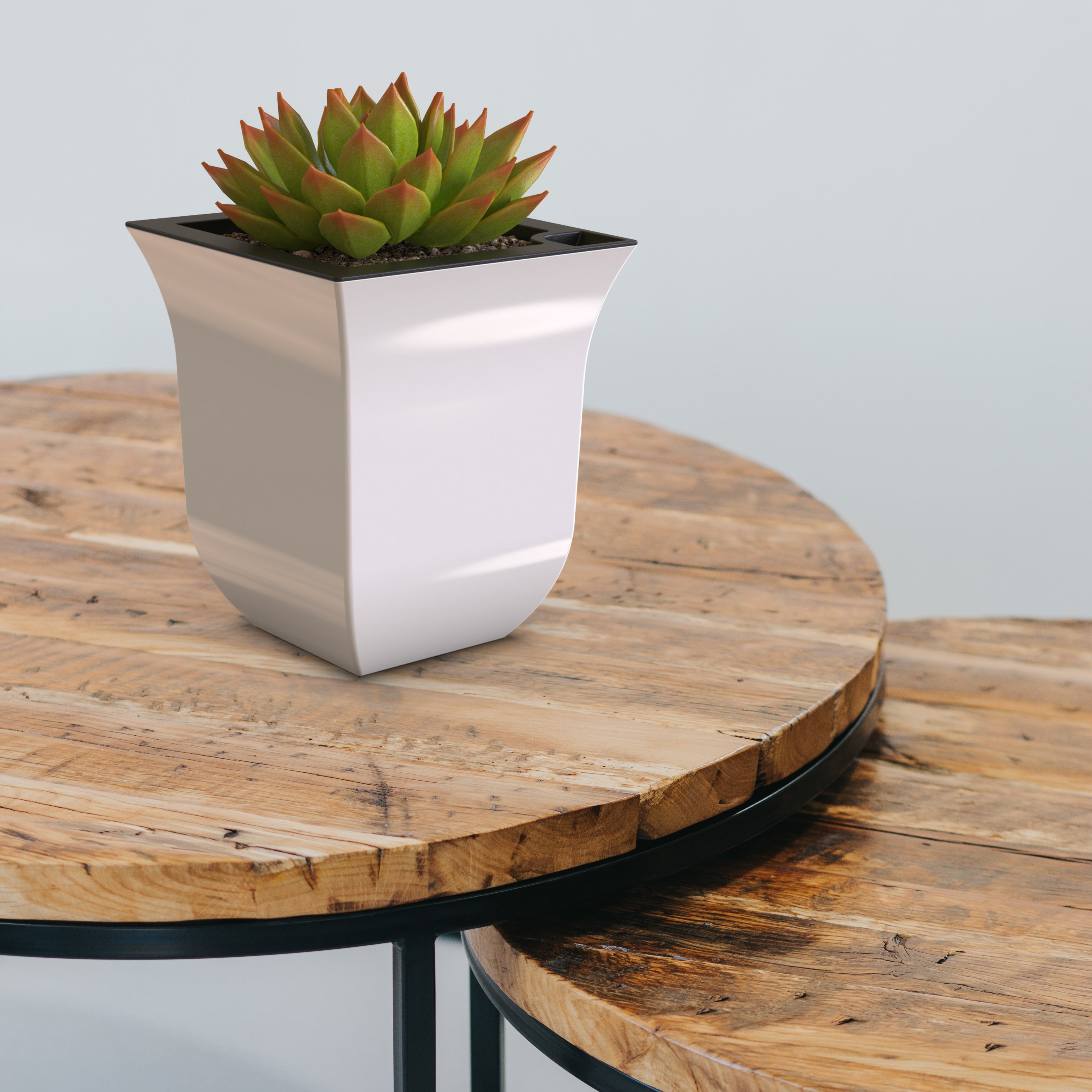 Mayne Valencia 8in Tabletop Planter