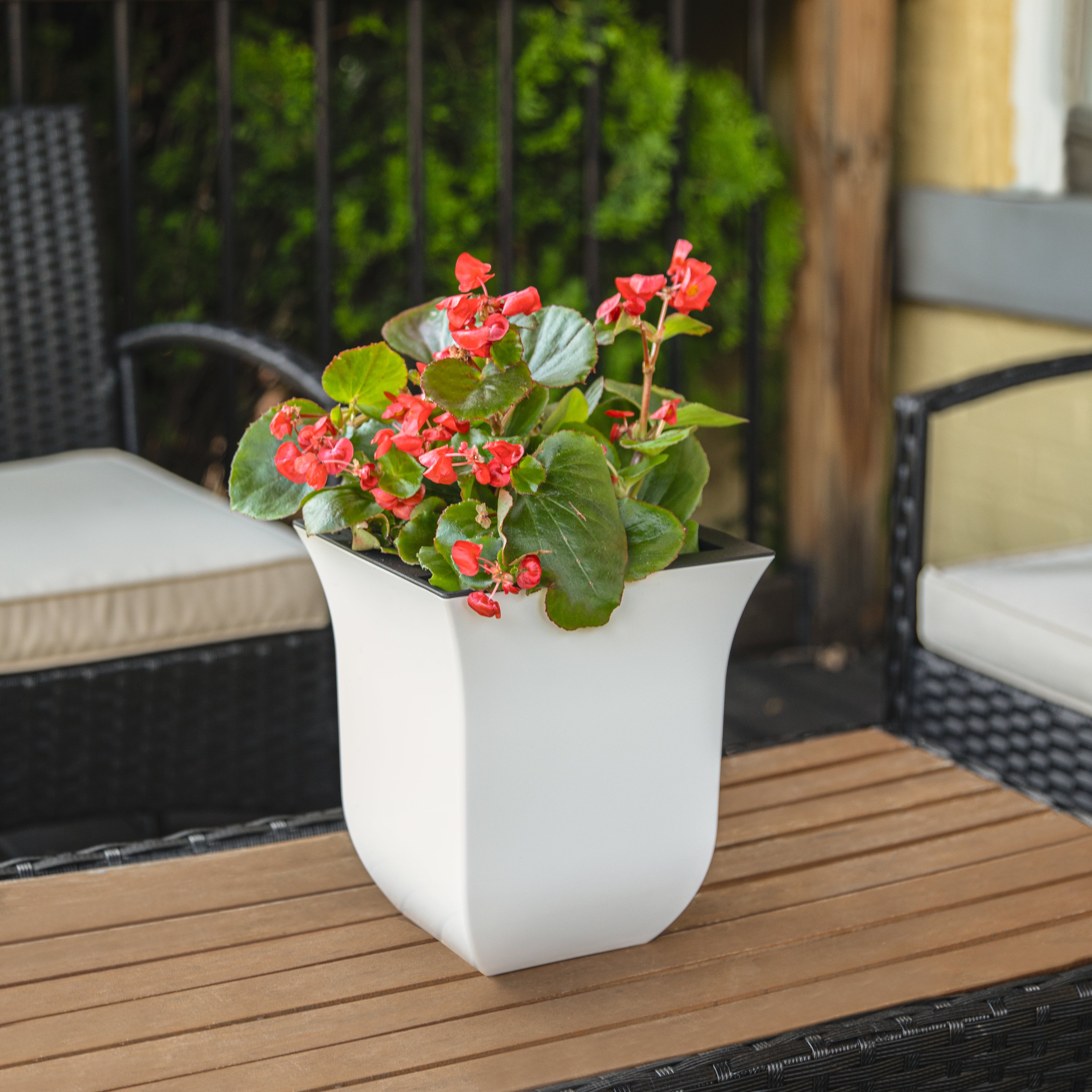 Mayne Valencia 8in Tabletop Planter
