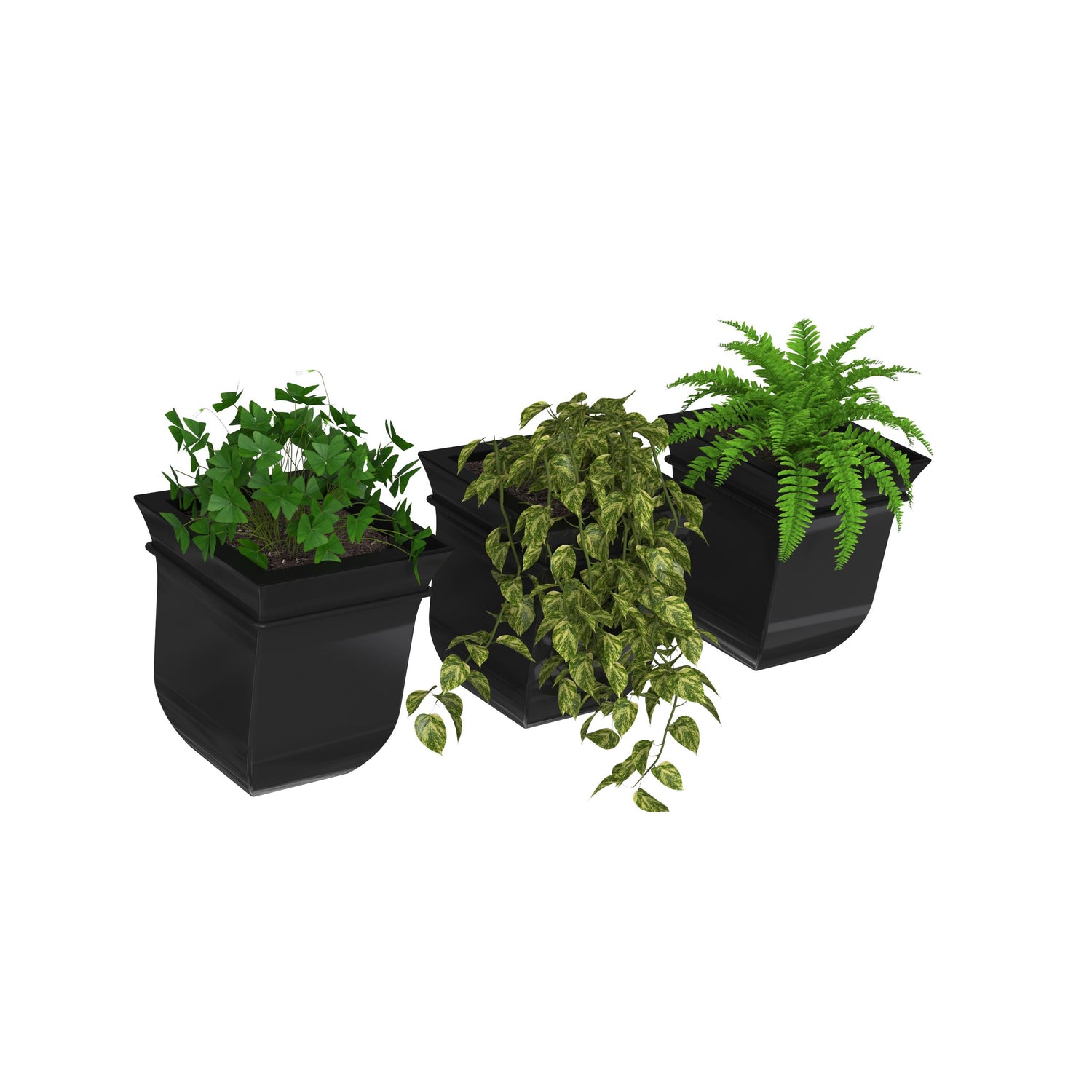 Mayne Valencia 8in Wall Mount Planter (3-Pack)