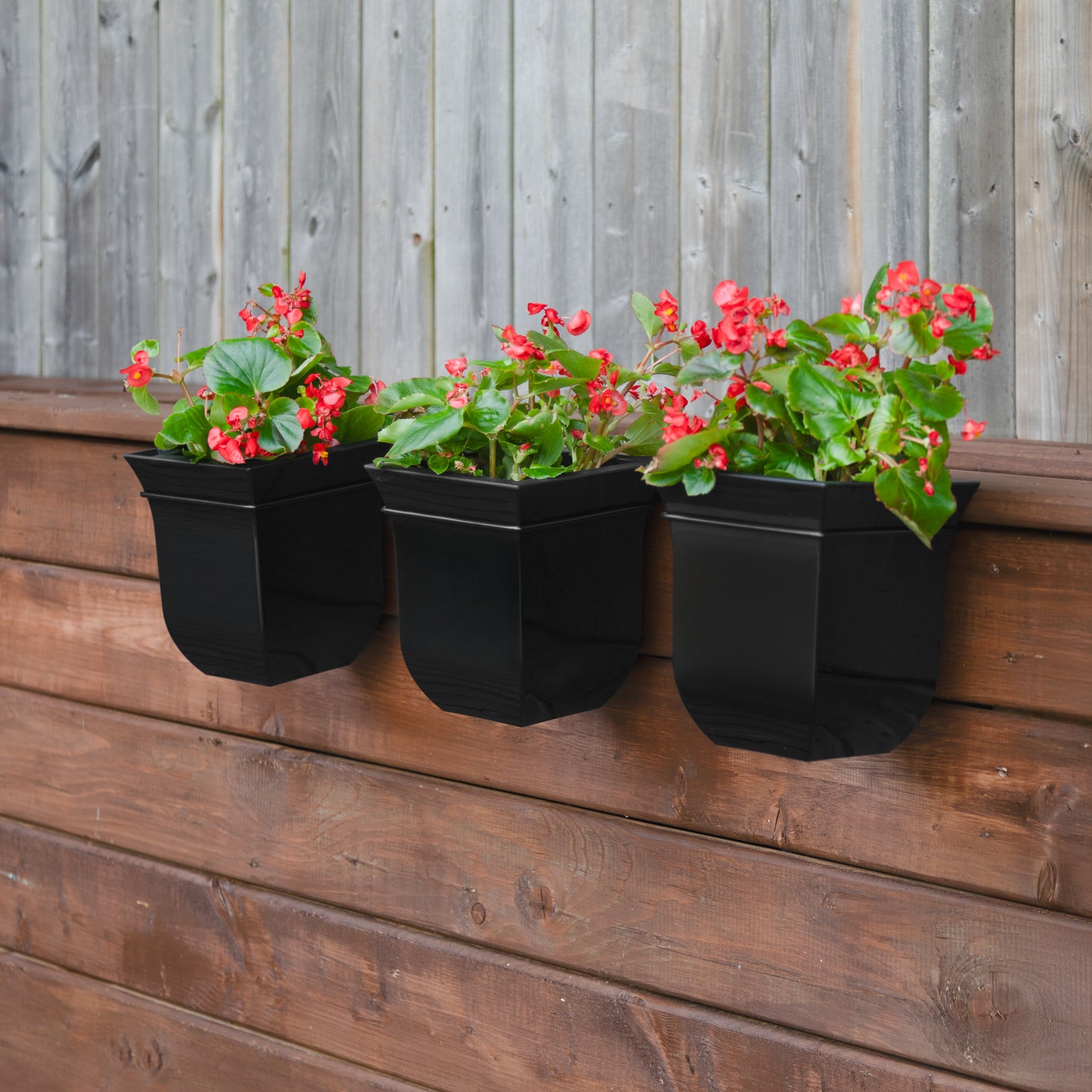 plant pots 8 inch Mayne Valencia 8-Inch Self-Watering Wall Mount Planter (3-Pack) – Mayne Inc