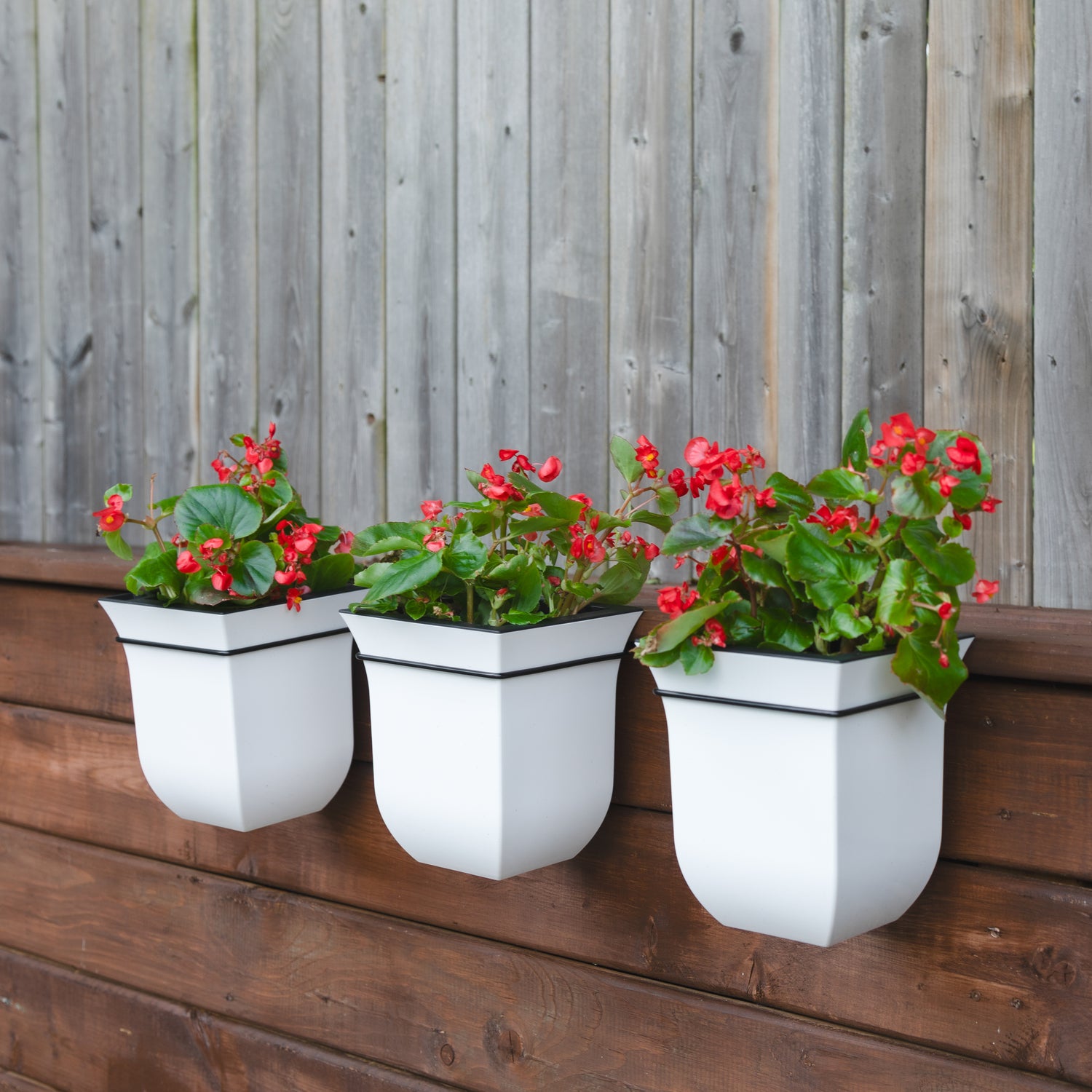self watering railing planter white Mayne Valencia 8-Inch Self-Watering Wall Mount Planter (3-Pack) – Mayne Inc