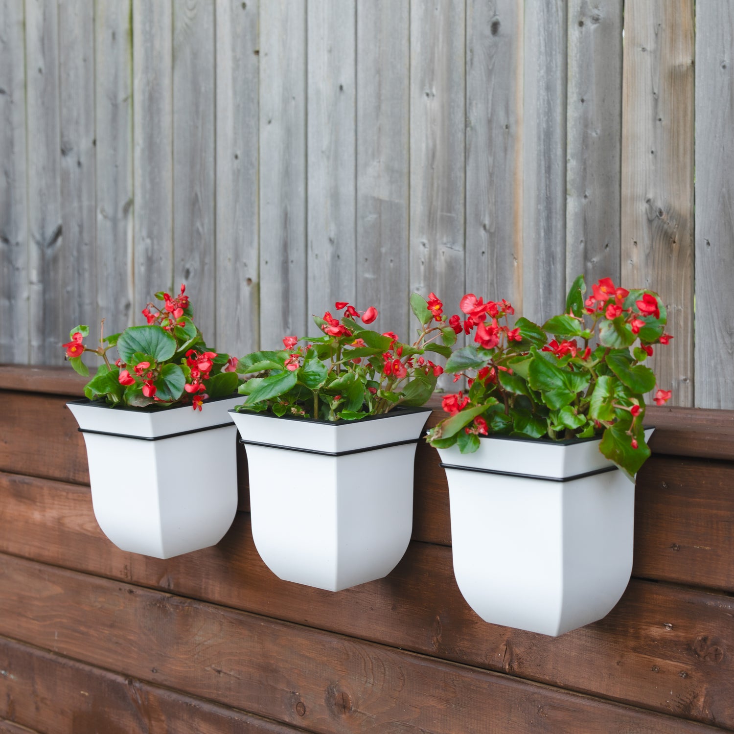 Mayne Valencia 8in Wall Mount Planter (3-Pack)