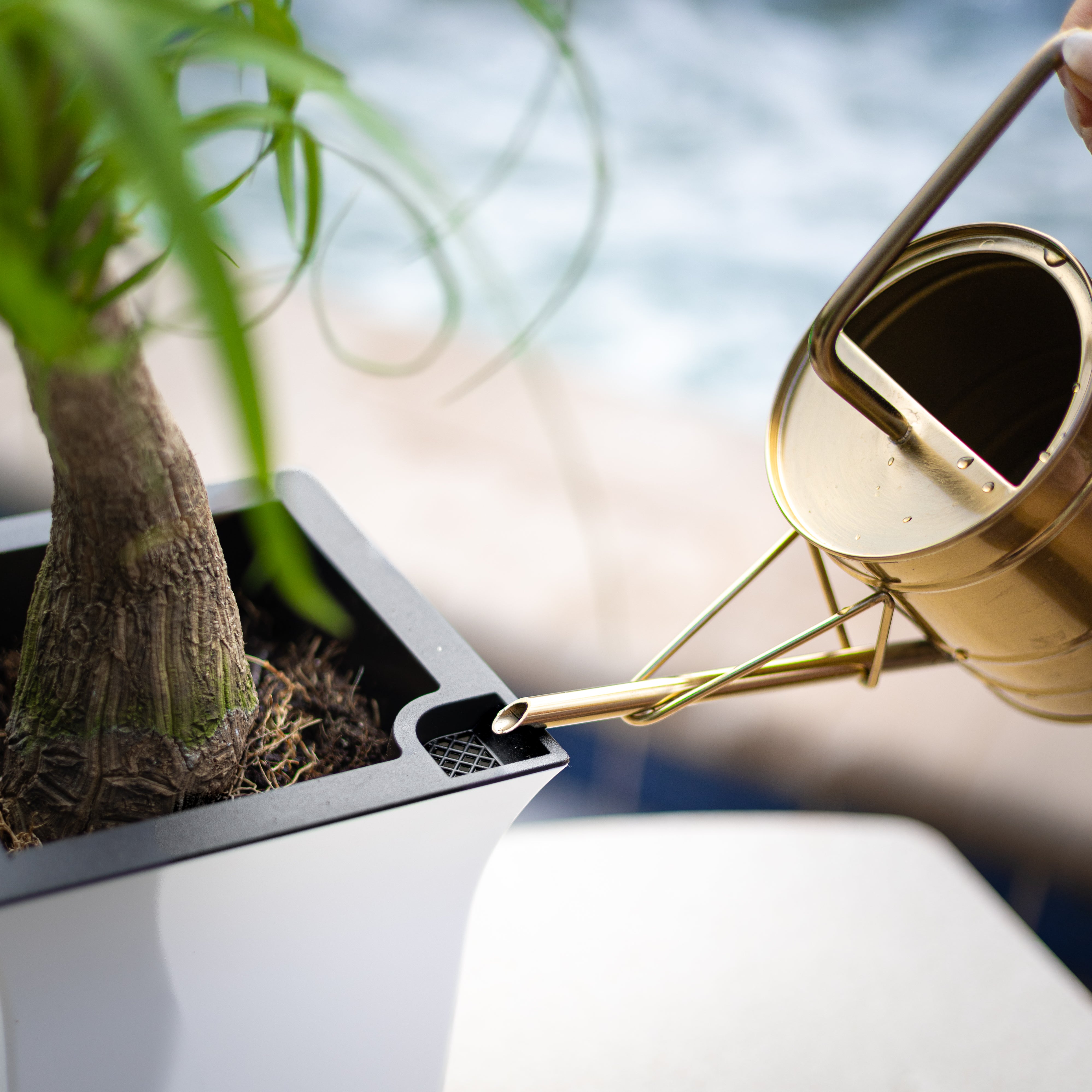 Mayne Valencia 8-Inch Self-Watering Wall Mount Planter (3-Pack