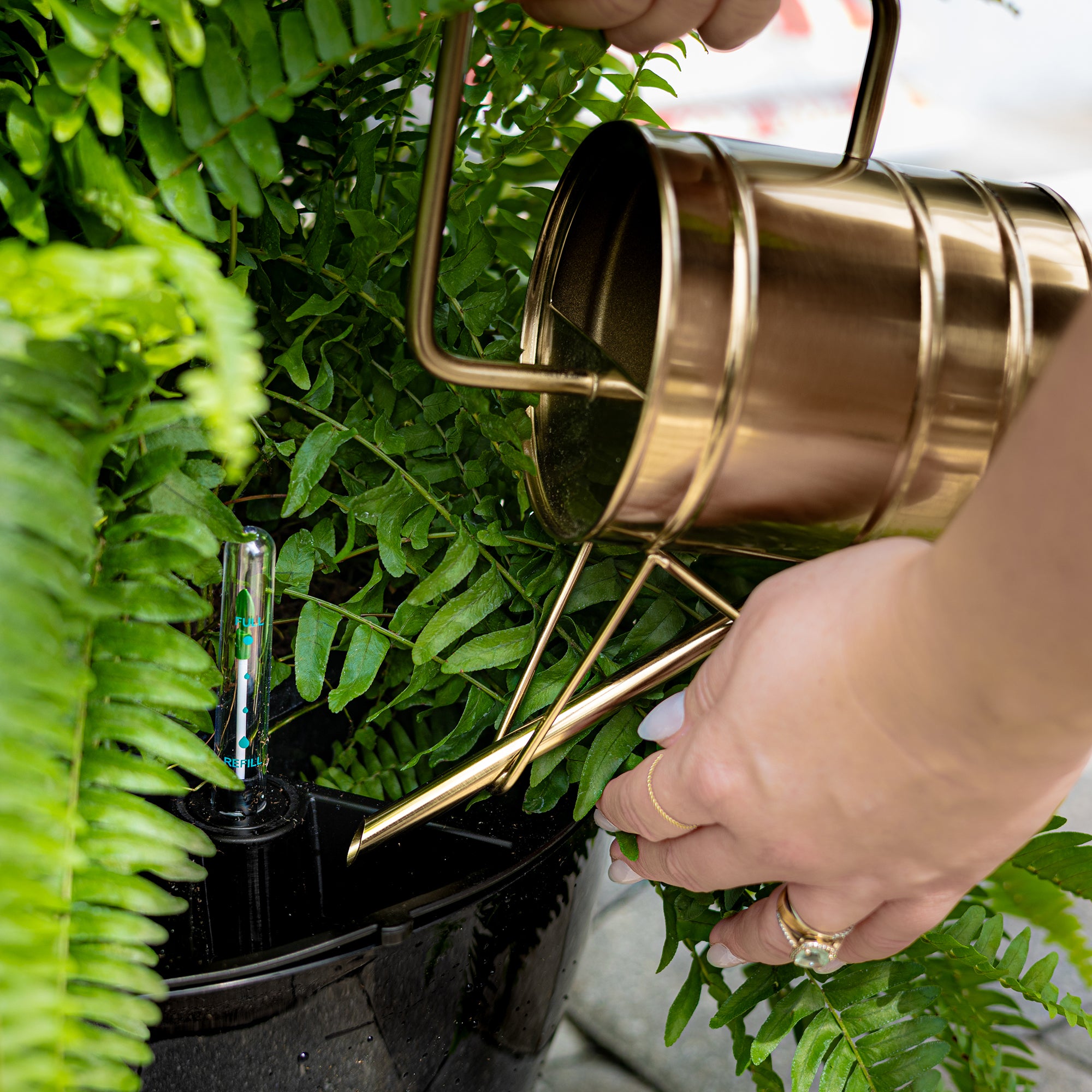 Mayne Caprio 14-Inch Self-Watering Hanging Planter with Water Level Indicator (2-Pack)