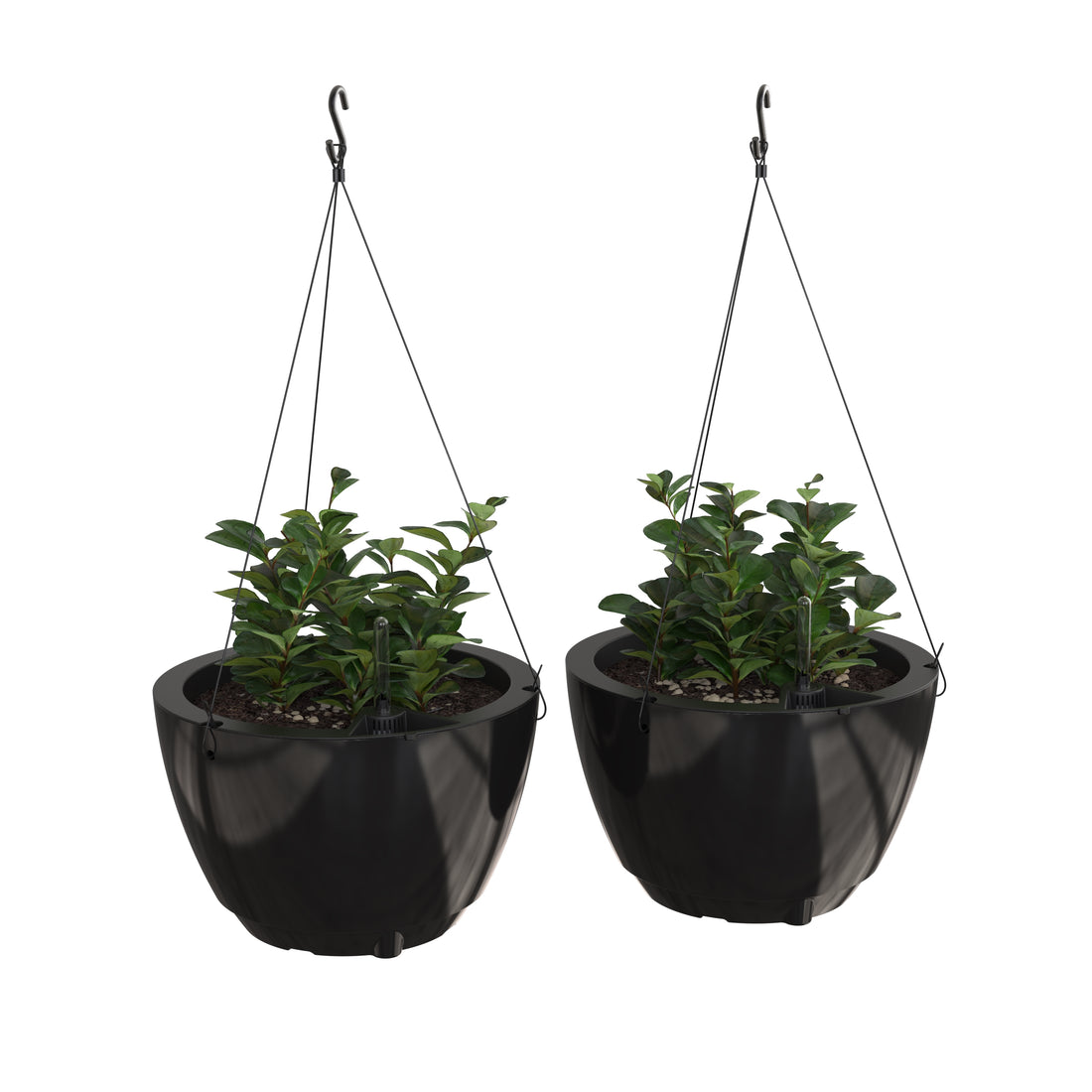 Caprio Hanging Planter (2-Pack)