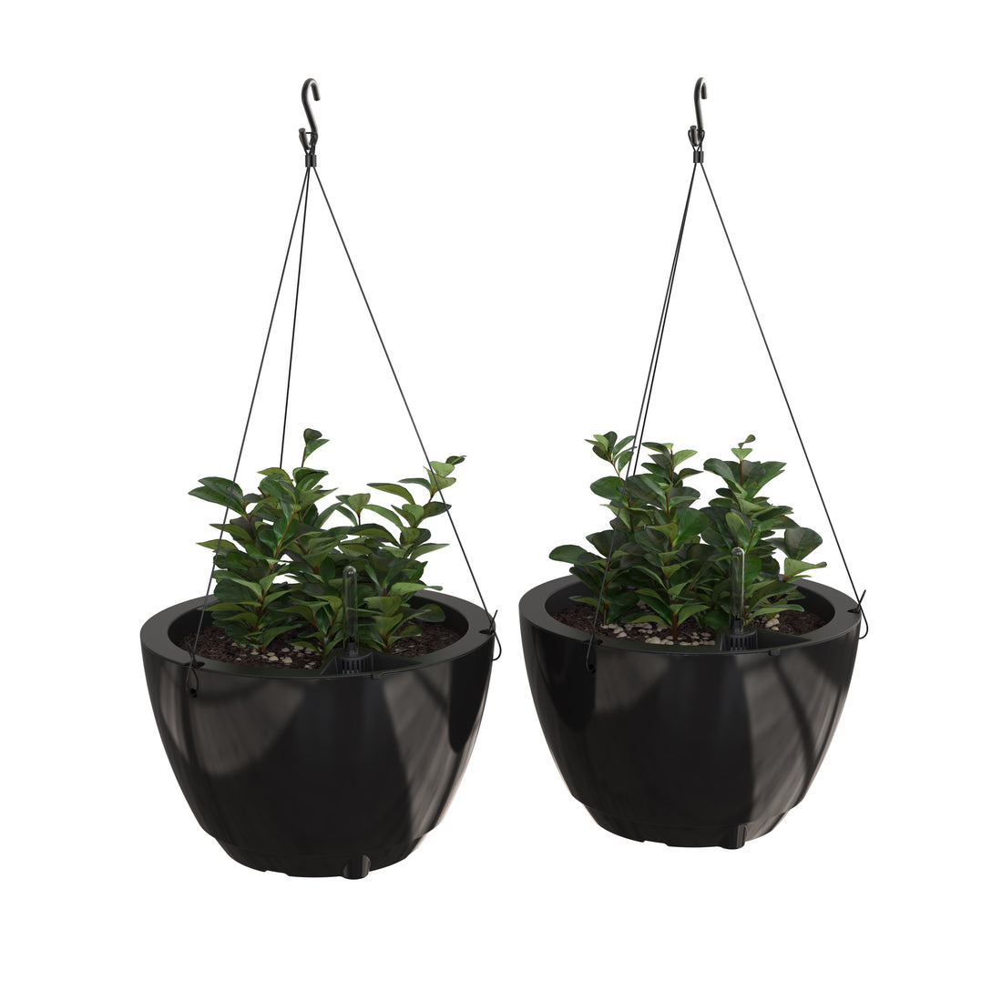 Mayne Caprio Hanging Planter (2-Pack)