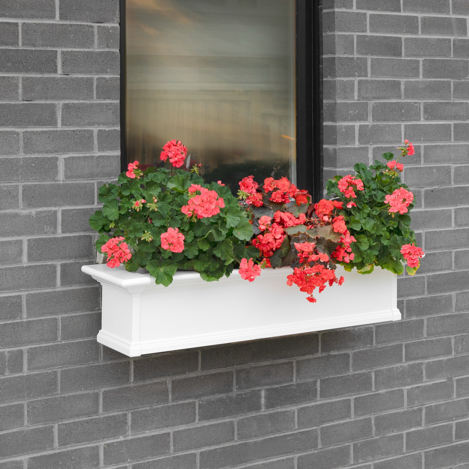 Mayne Yorkshire 4ft Window Box