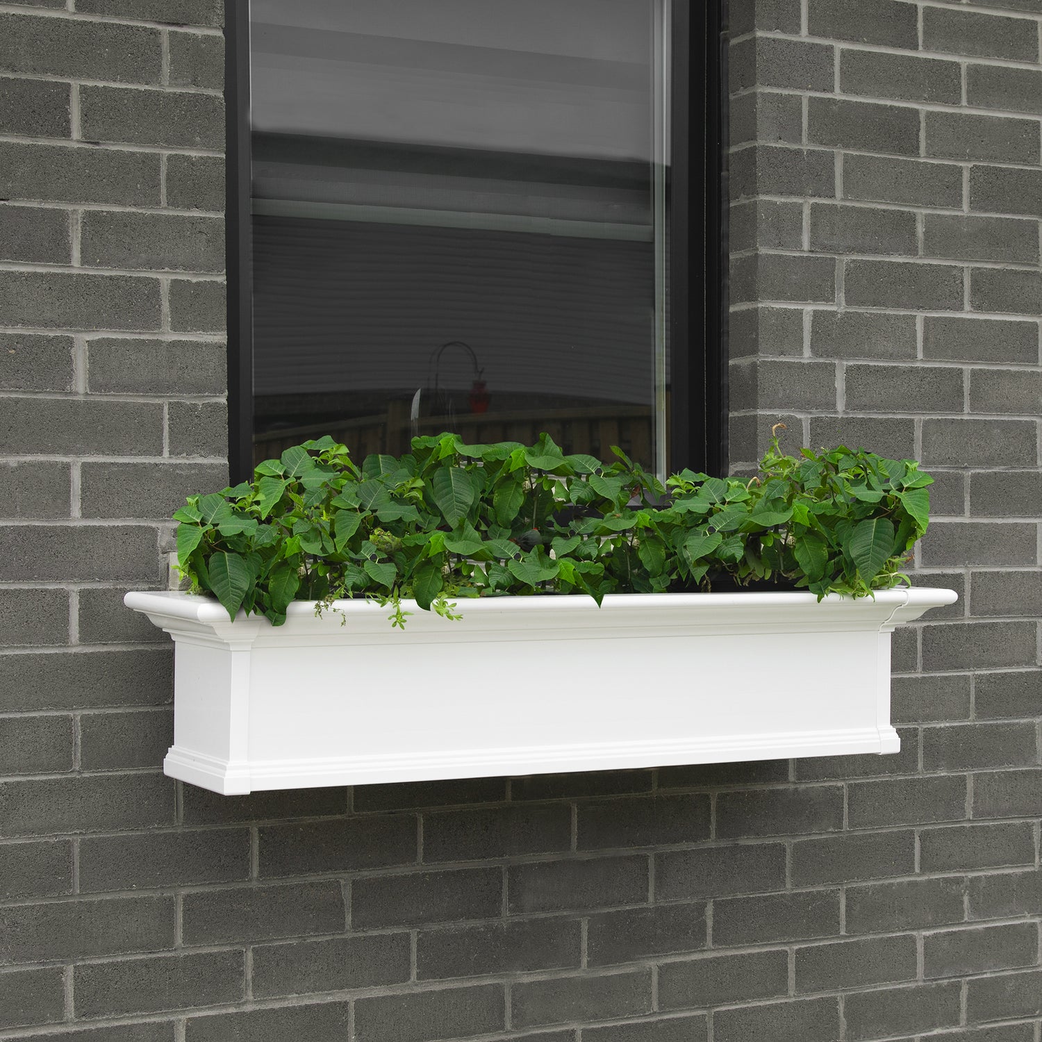 Mayne Yorkshire 5ft Window Box