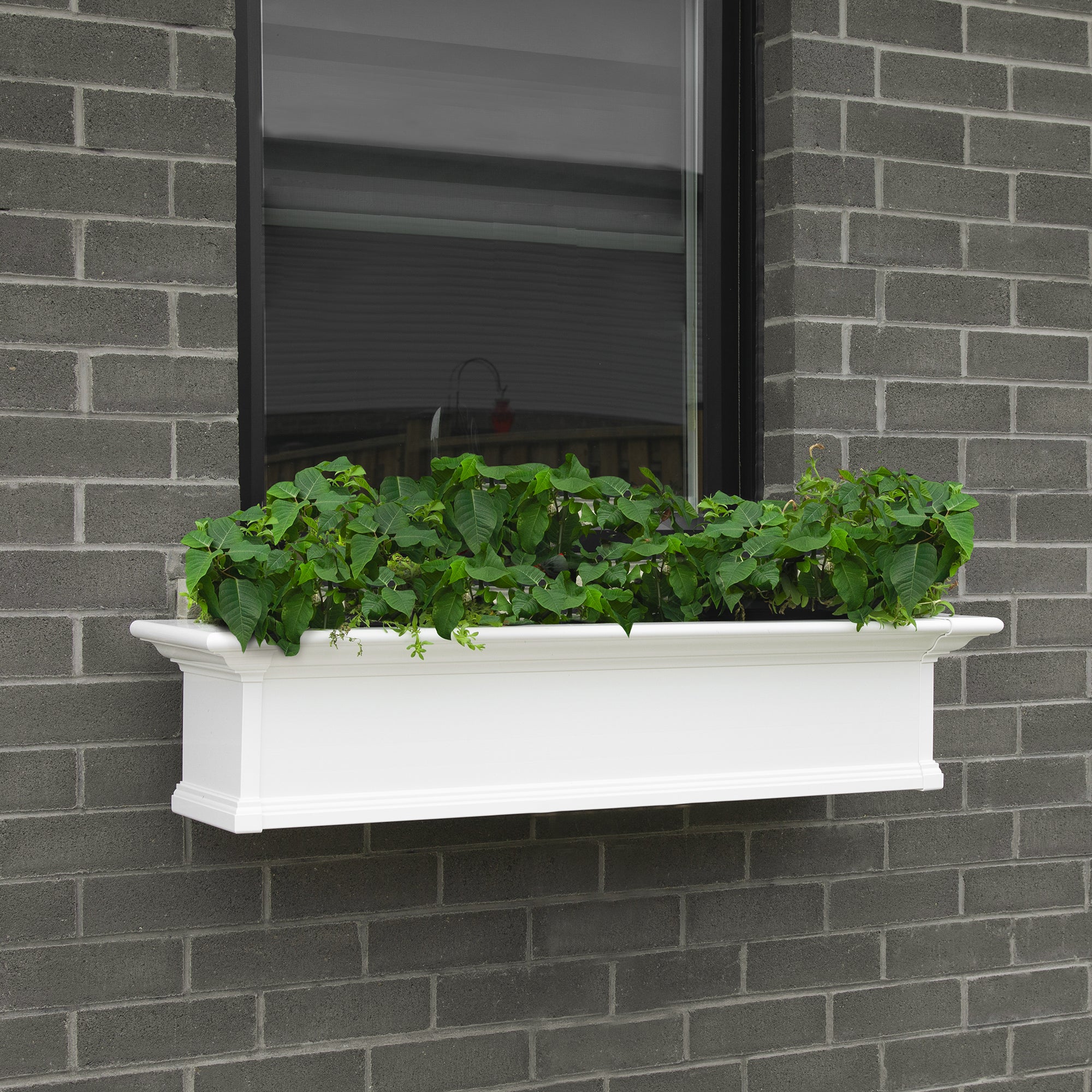 Yorkshire 5ft Window Box - White