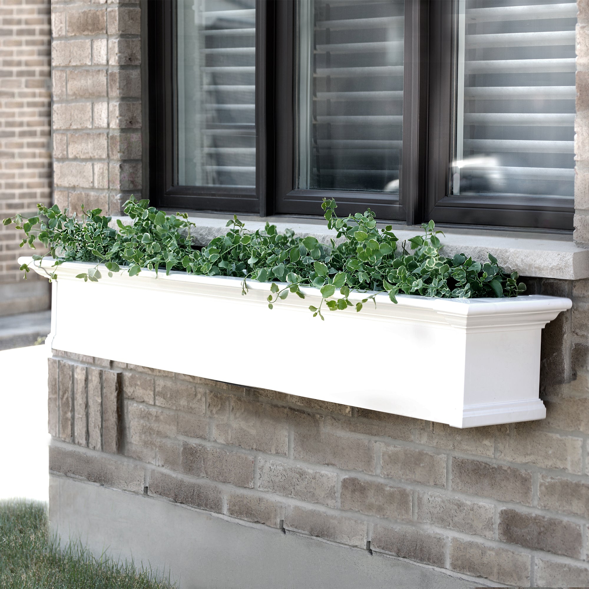 Mayne Yorkshire 6ft Window Box