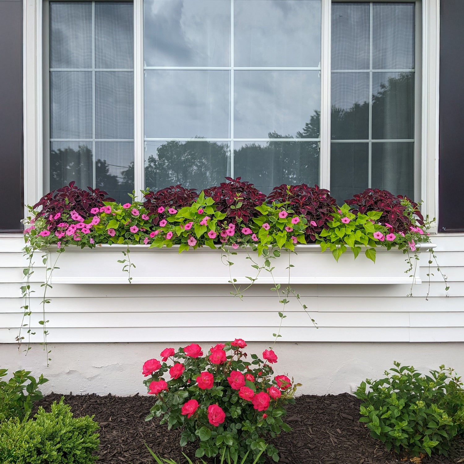 Mayne Yorkshire 7ft Window Box