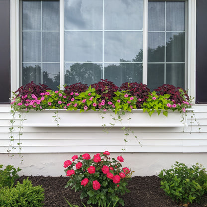 Mayne Yorkshire 7ft Window Box