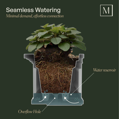 Mayne Nantucket 2ft Self-Watering Window Box with Steel Wall Mount Brackets (Espresso)