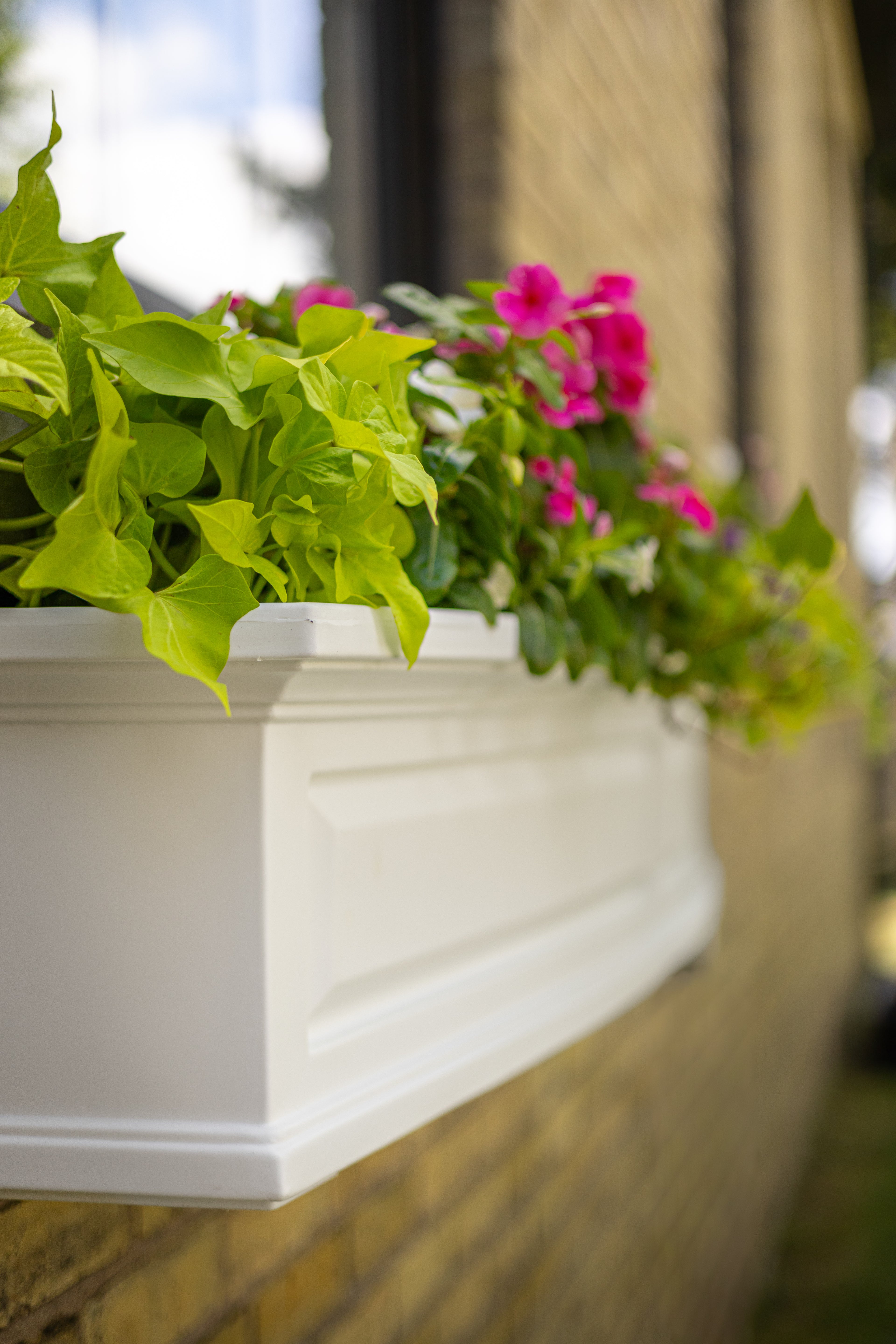 Mayne Nantucket 2ft Self-Watering Window Box with Steel Wall Mount Brackets